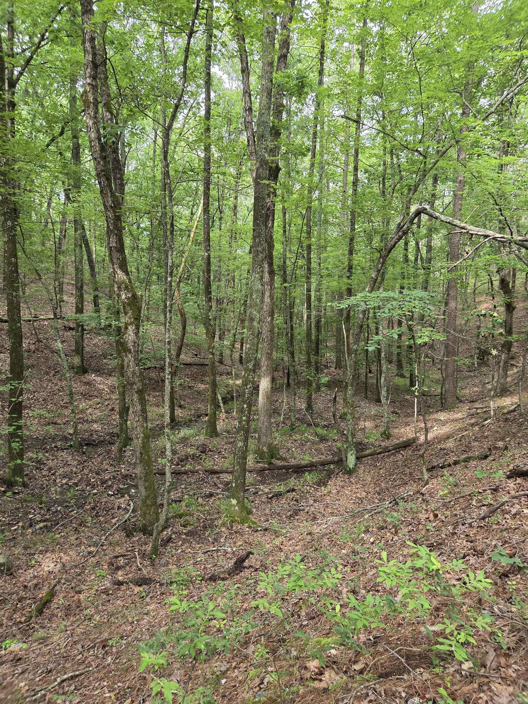 301 Chaparral Lane  Mena, AR