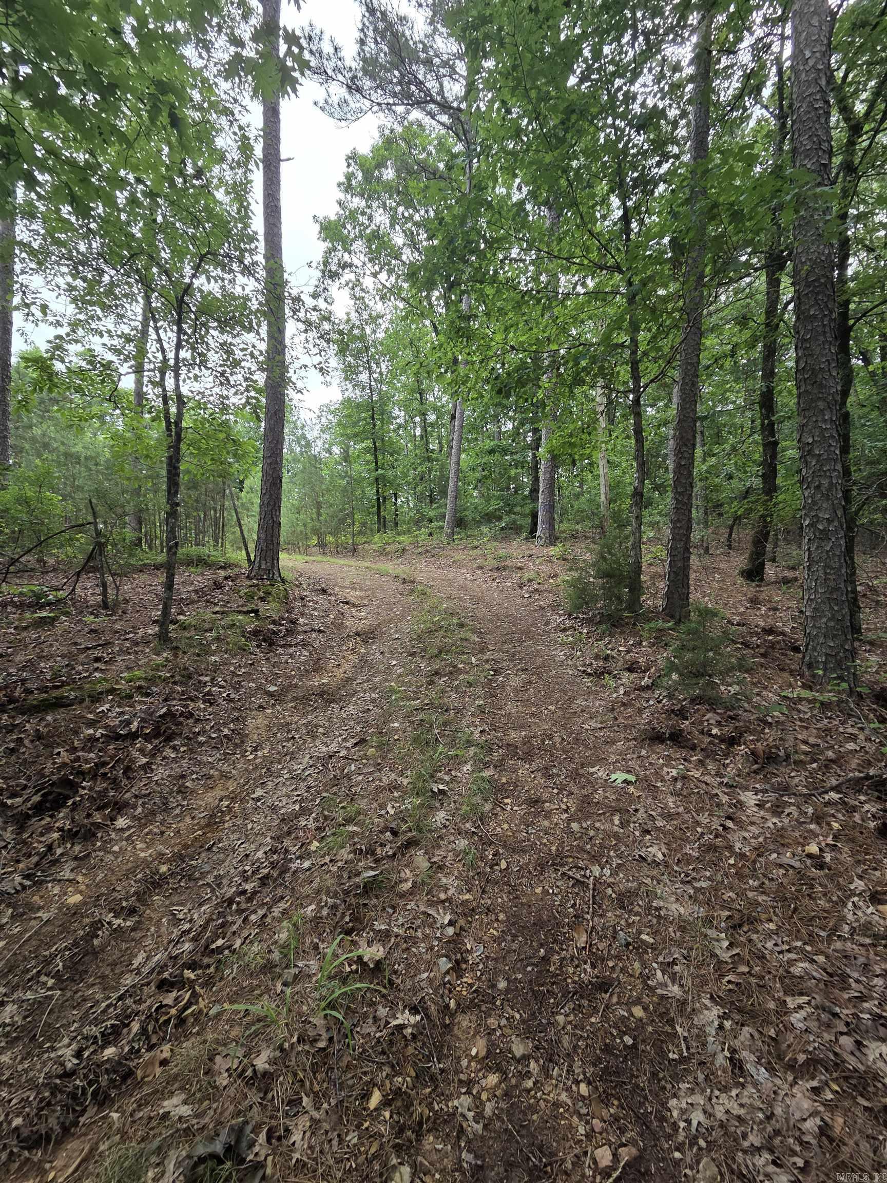 301 Chaparral Lane  Mena, AR