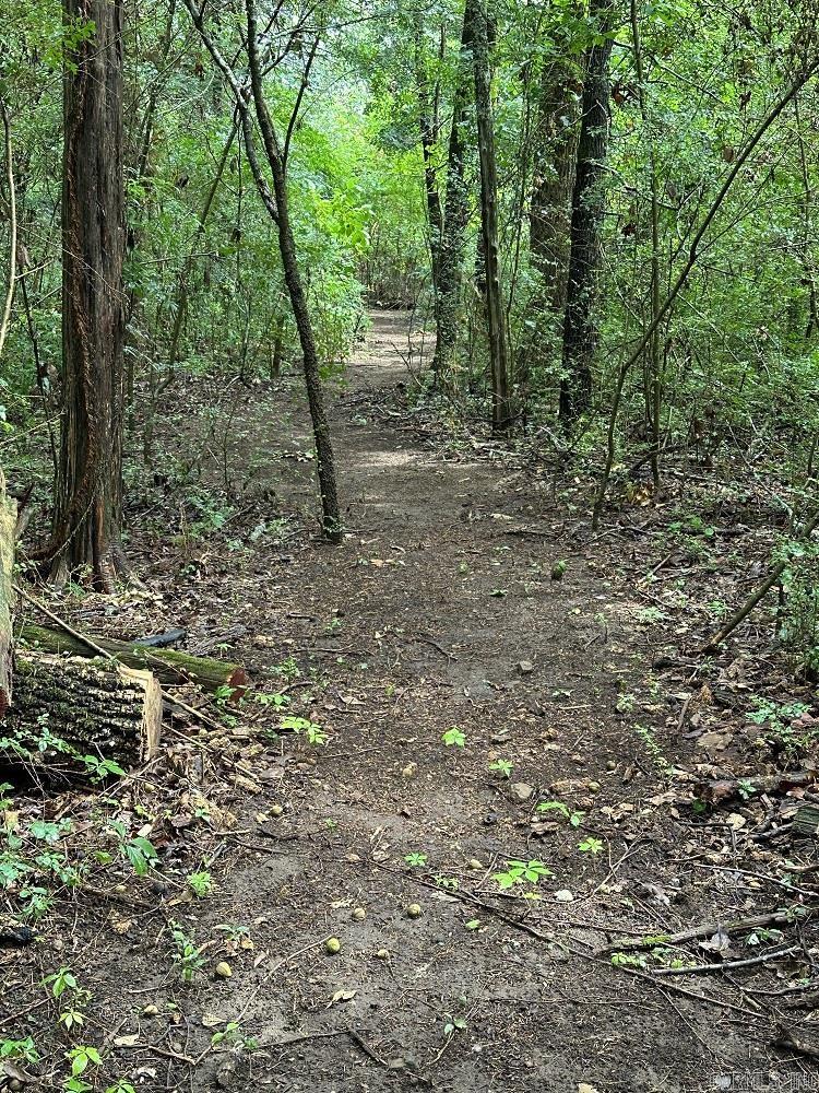 2529 Brandy Drive Heber Springs, AR 72543