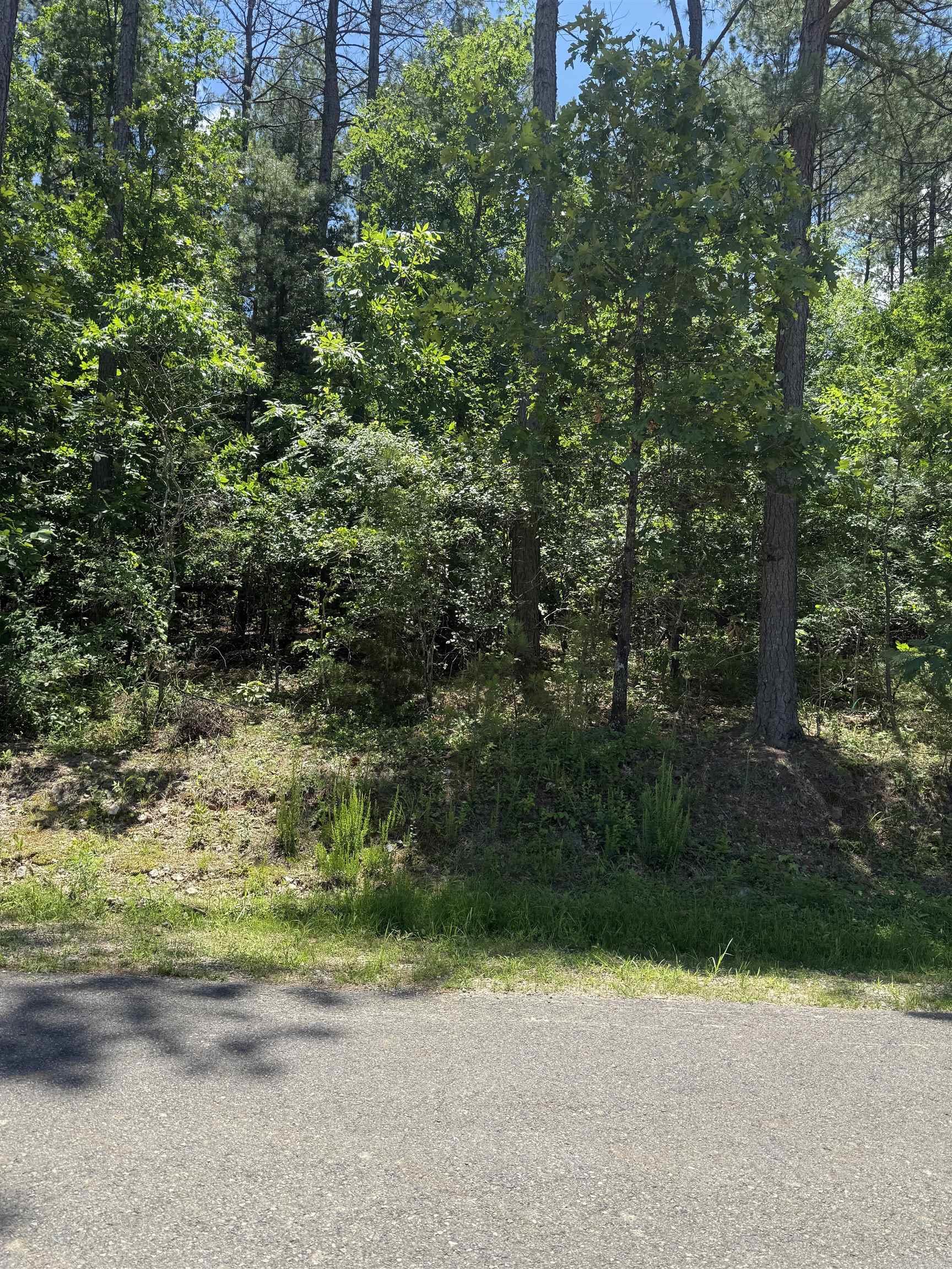 68 Manzanares  Hot Springs Village, AR