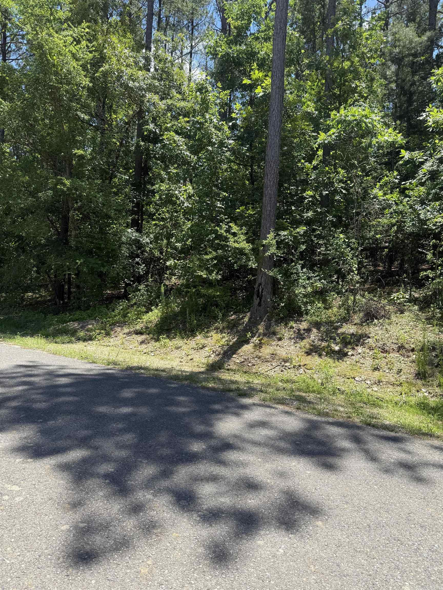 68 Manzanares  Hot Springs Village, AR