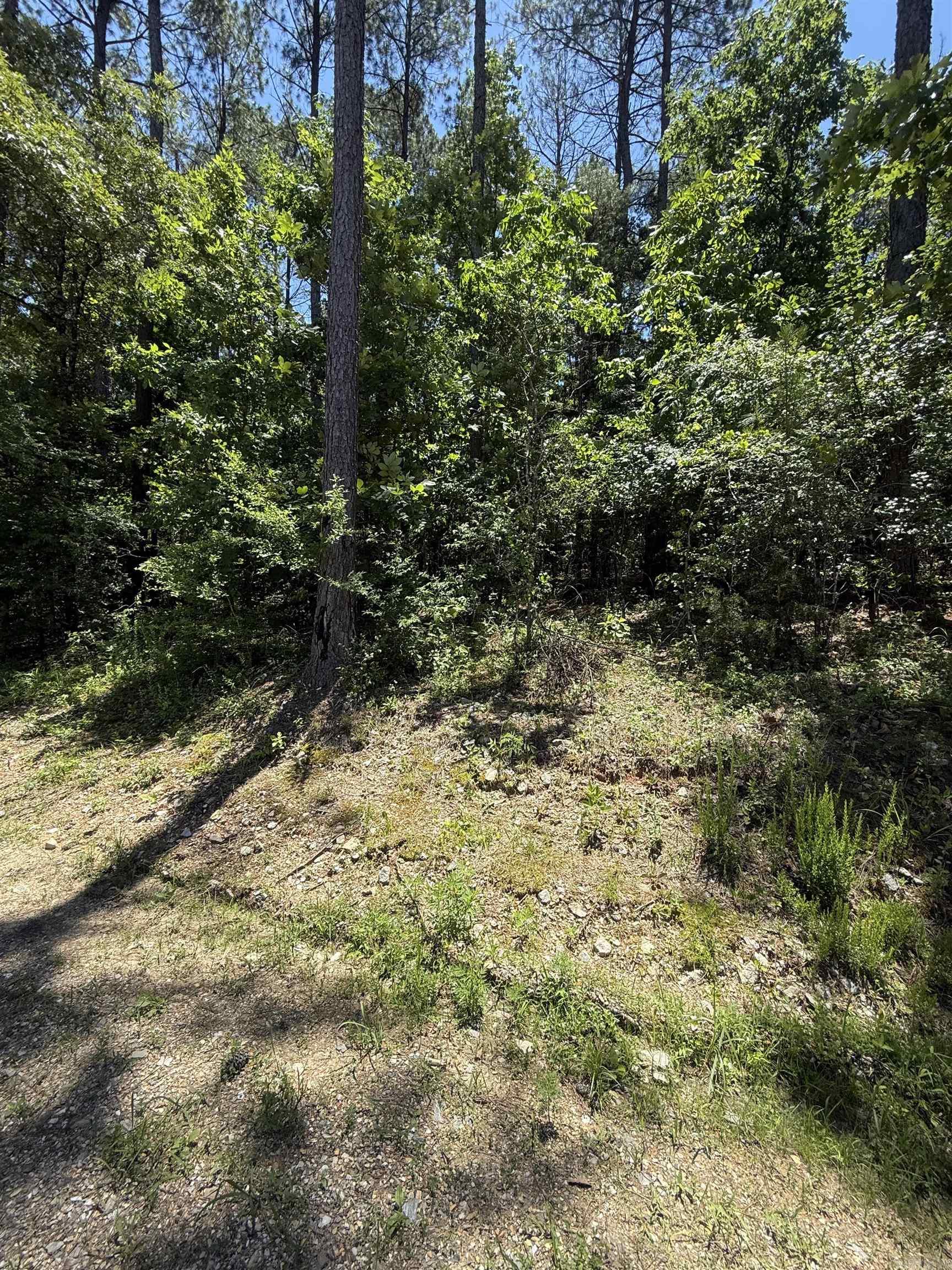 68 Manzanares  Hot Springs Village, AR