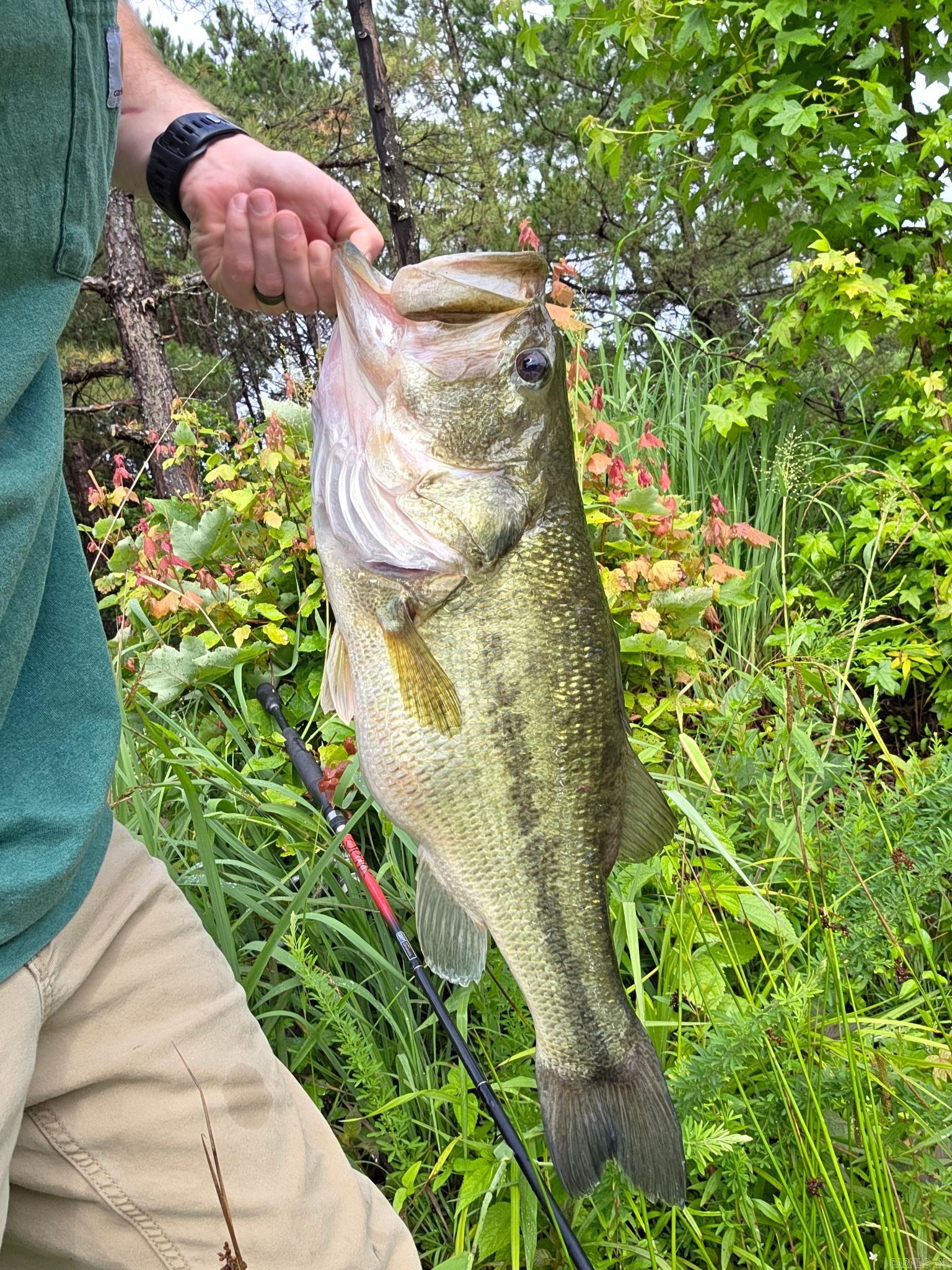 816 WINROCK DRIVE  Morrilton, AR