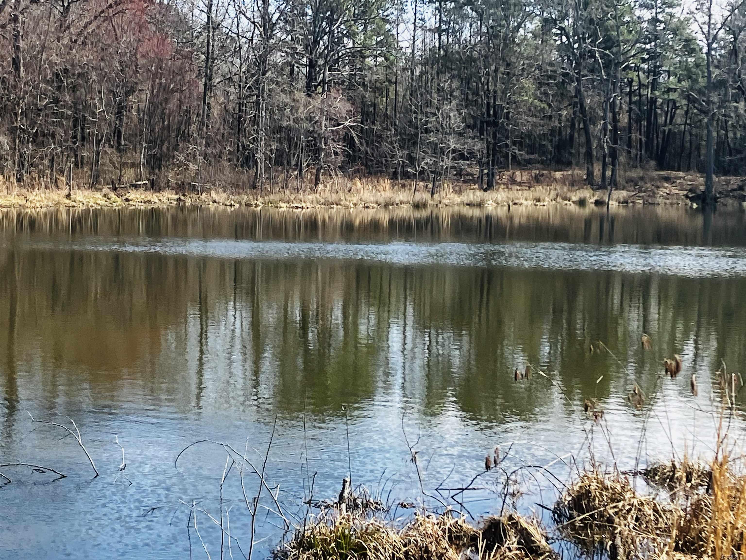 816 WINROCK DRIVE  Morrilton, AR