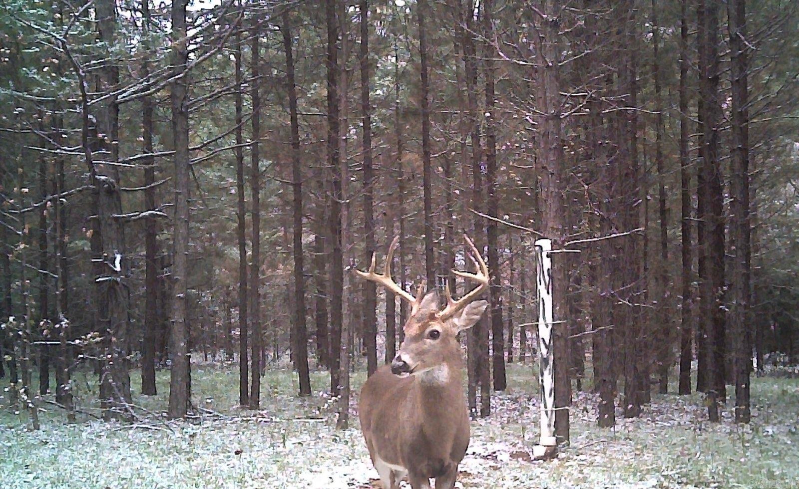 816 WINROCK DRIVE  Morrilton, AR