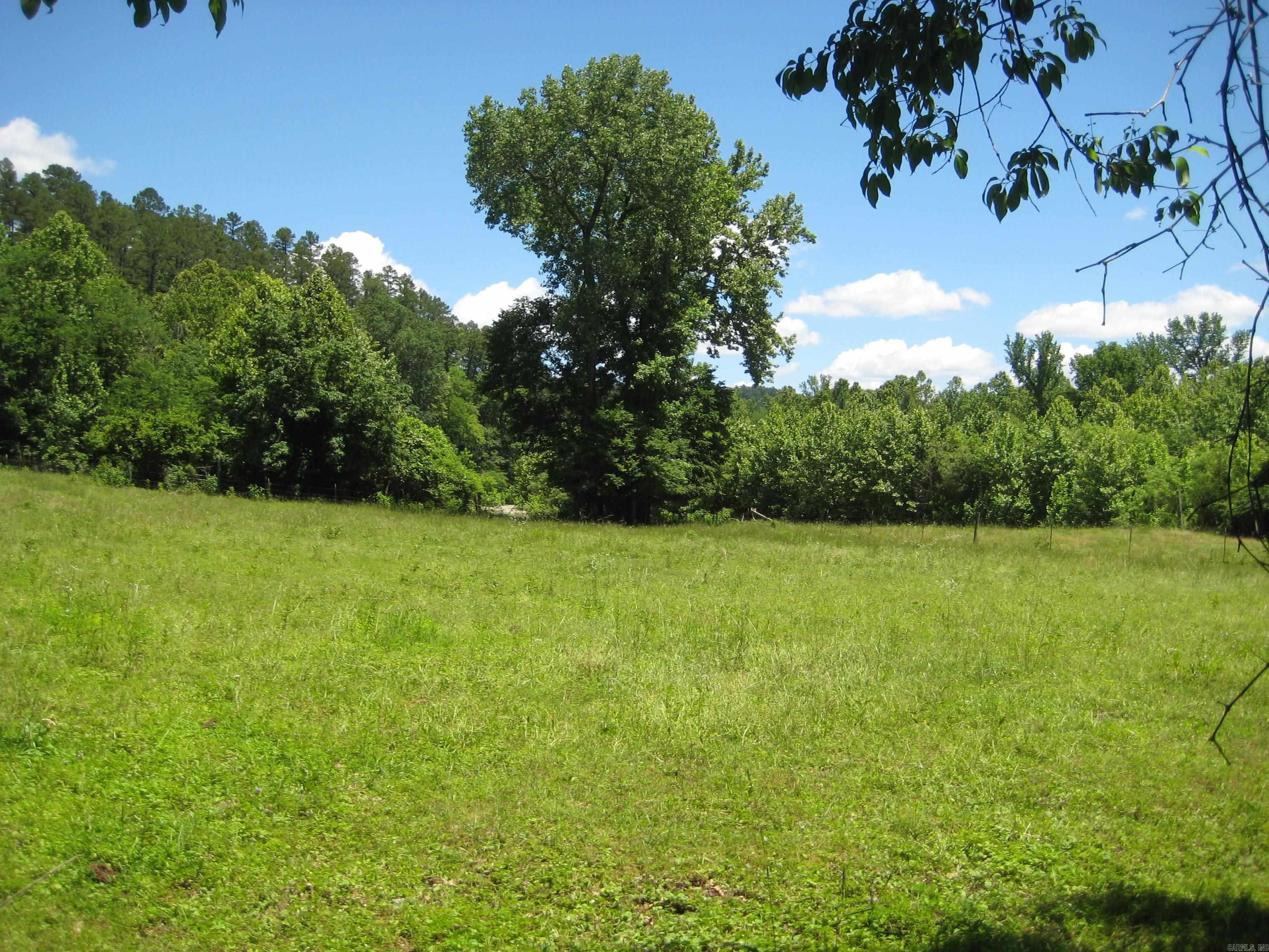 189 Hiawatha Lane Mena, AR 71953