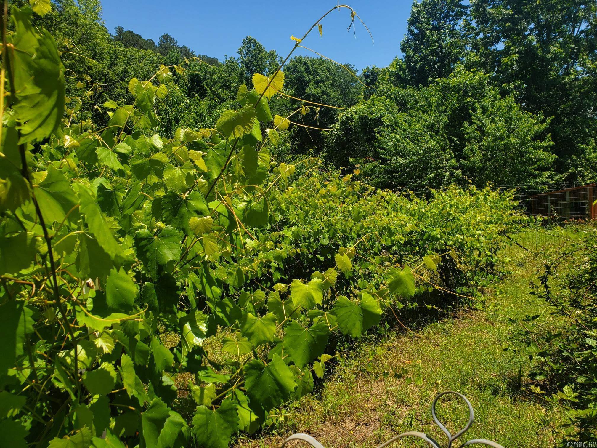 189 Hiawatha Lane Mena, AR 71953