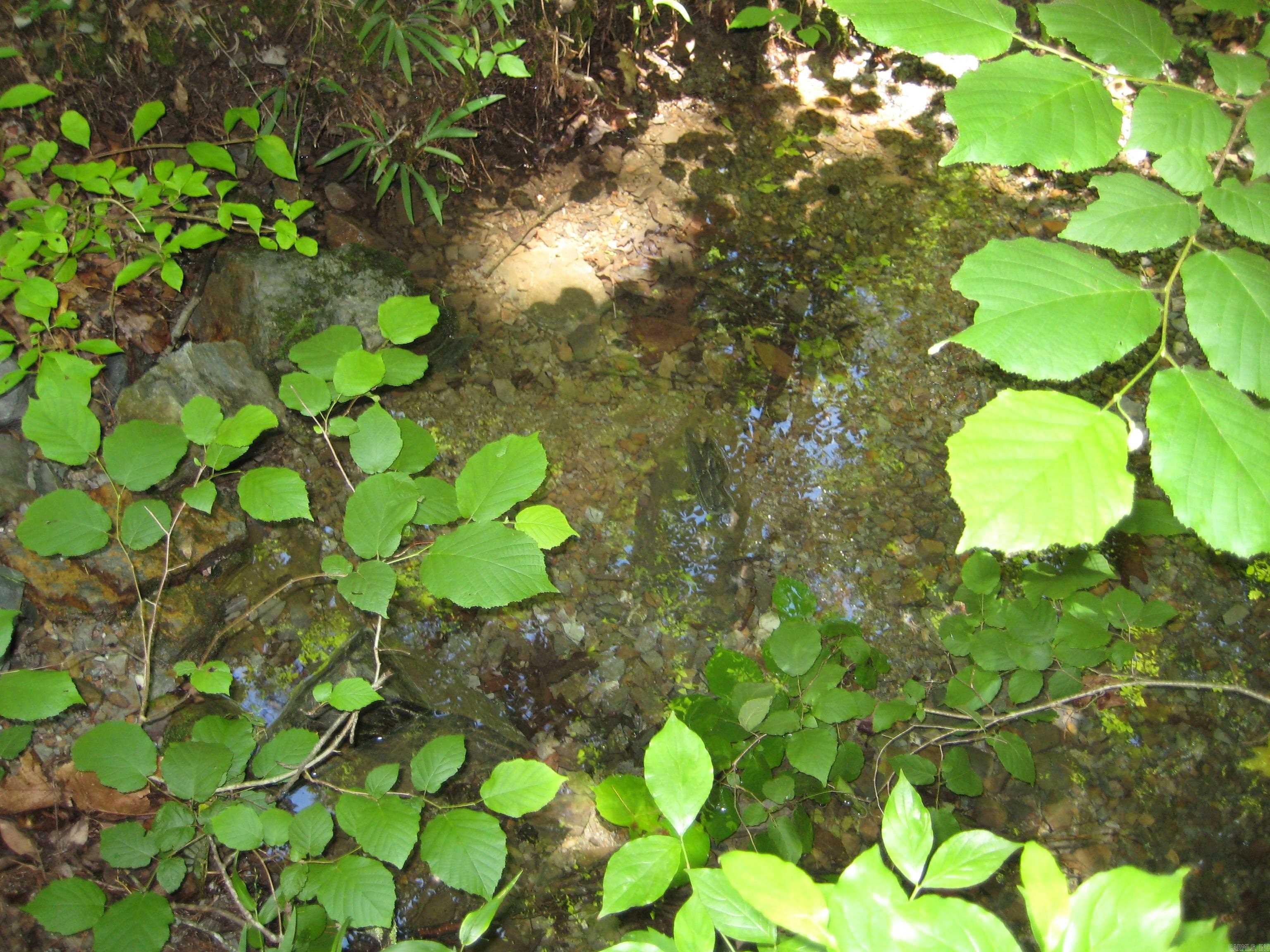 189 Hiawatha Lane Mena, AR 71953