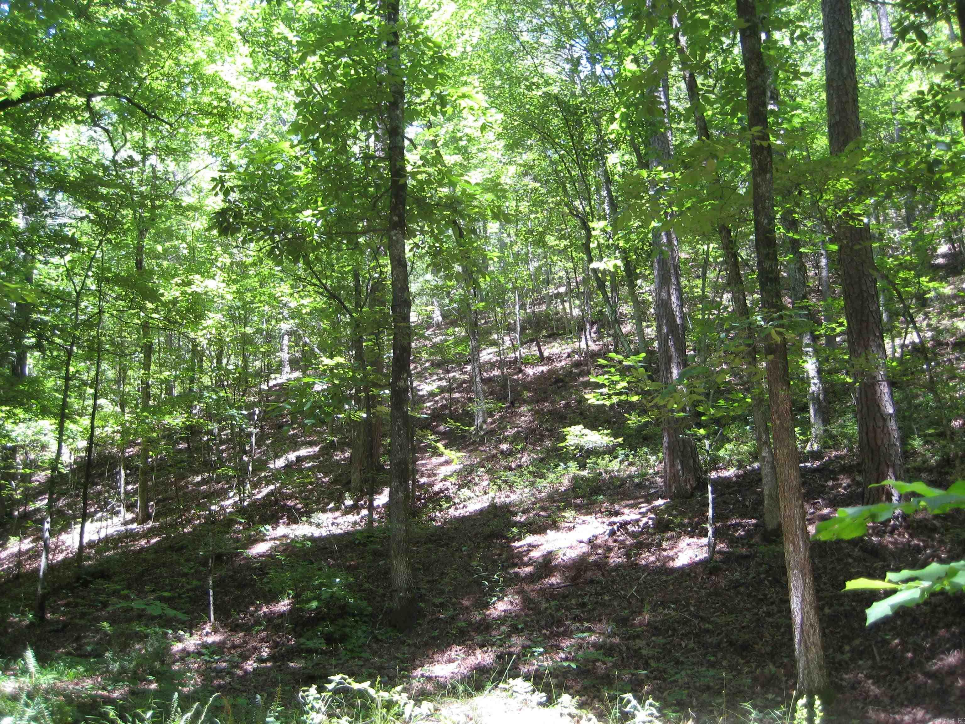 189 Hiawatha Lane Mena, AR 71953