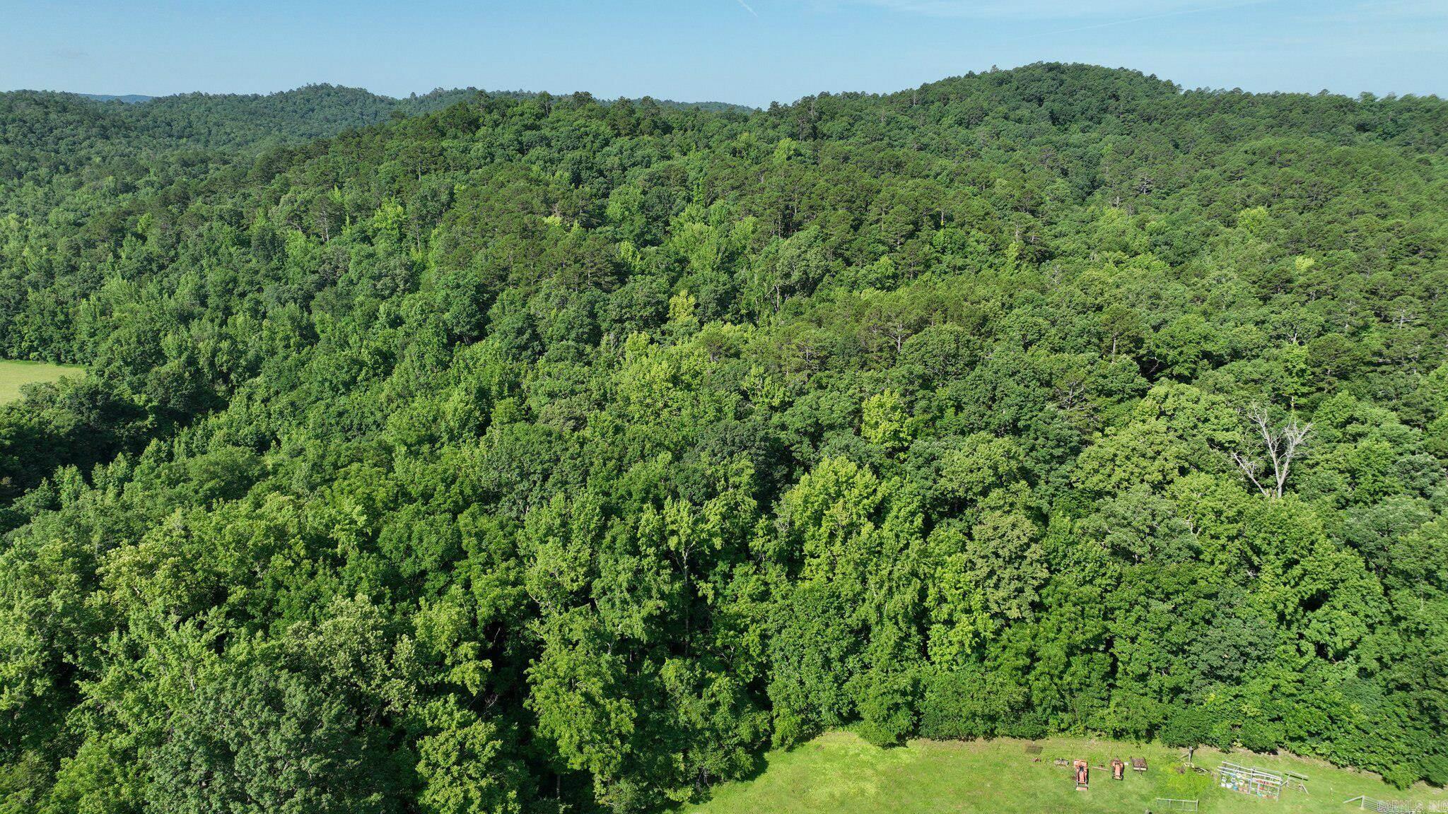 189 Hiawatha Lane Mena, AR 71953