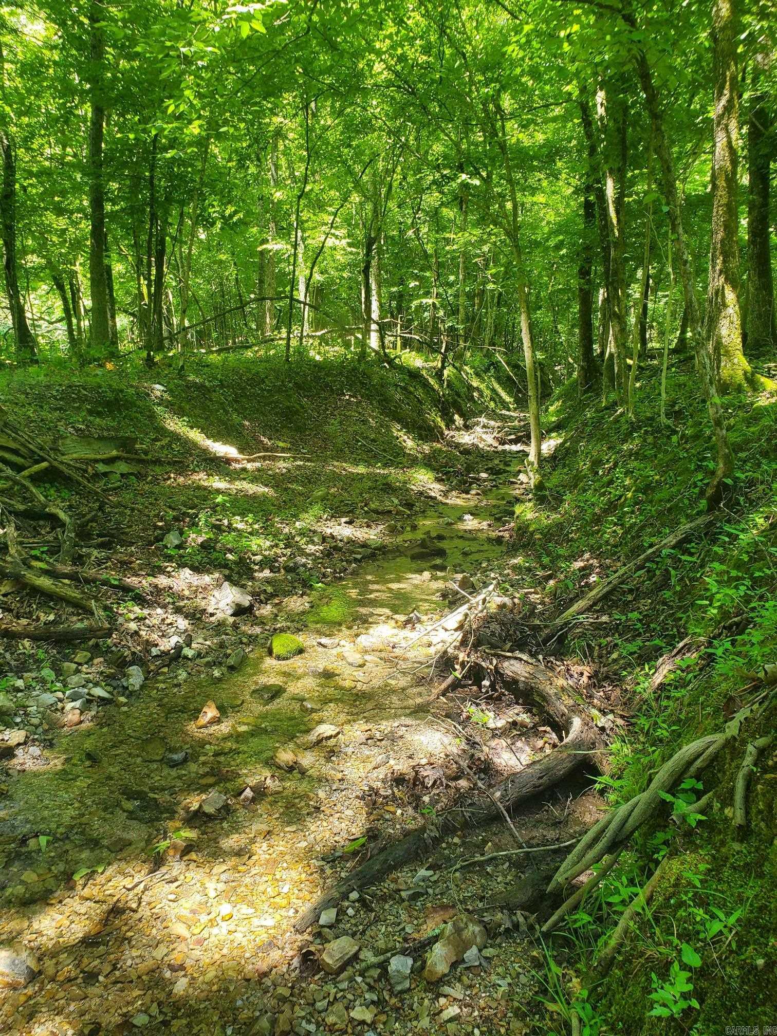 189 Hiawatha Lane Mena, AR 71953