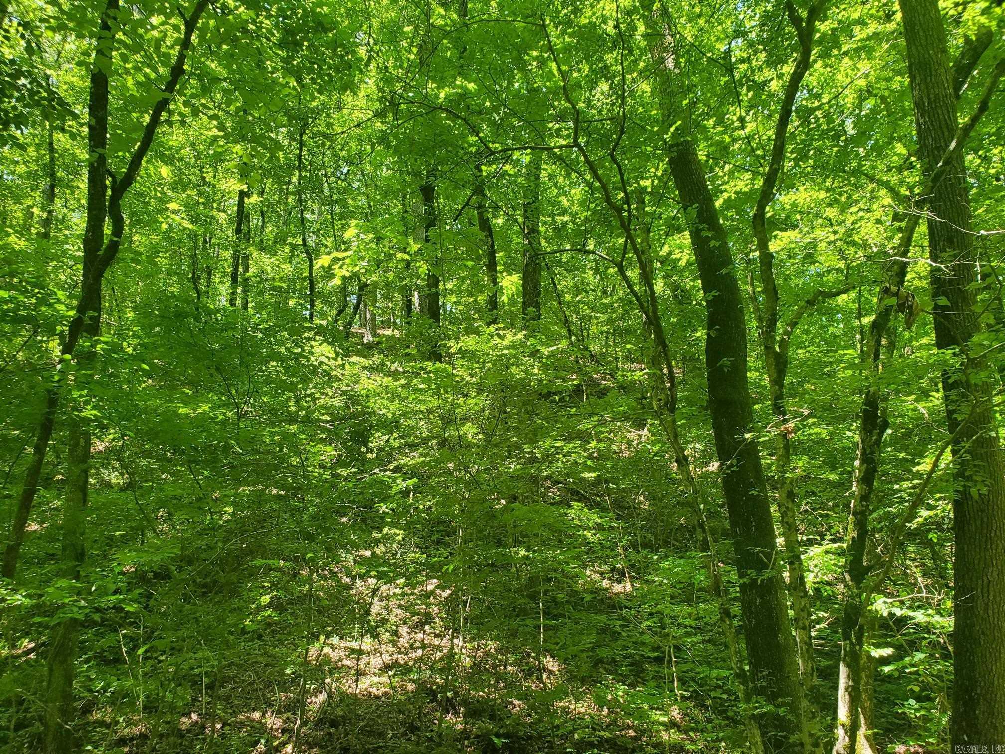 189 Hiawatha Lane Mena, AR 71953