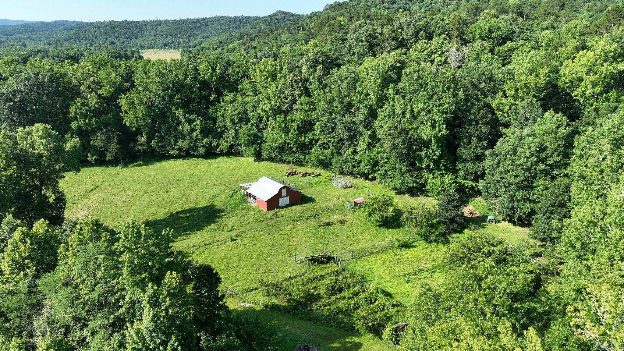 189 Hiawatha Lane Mena, AR 71953