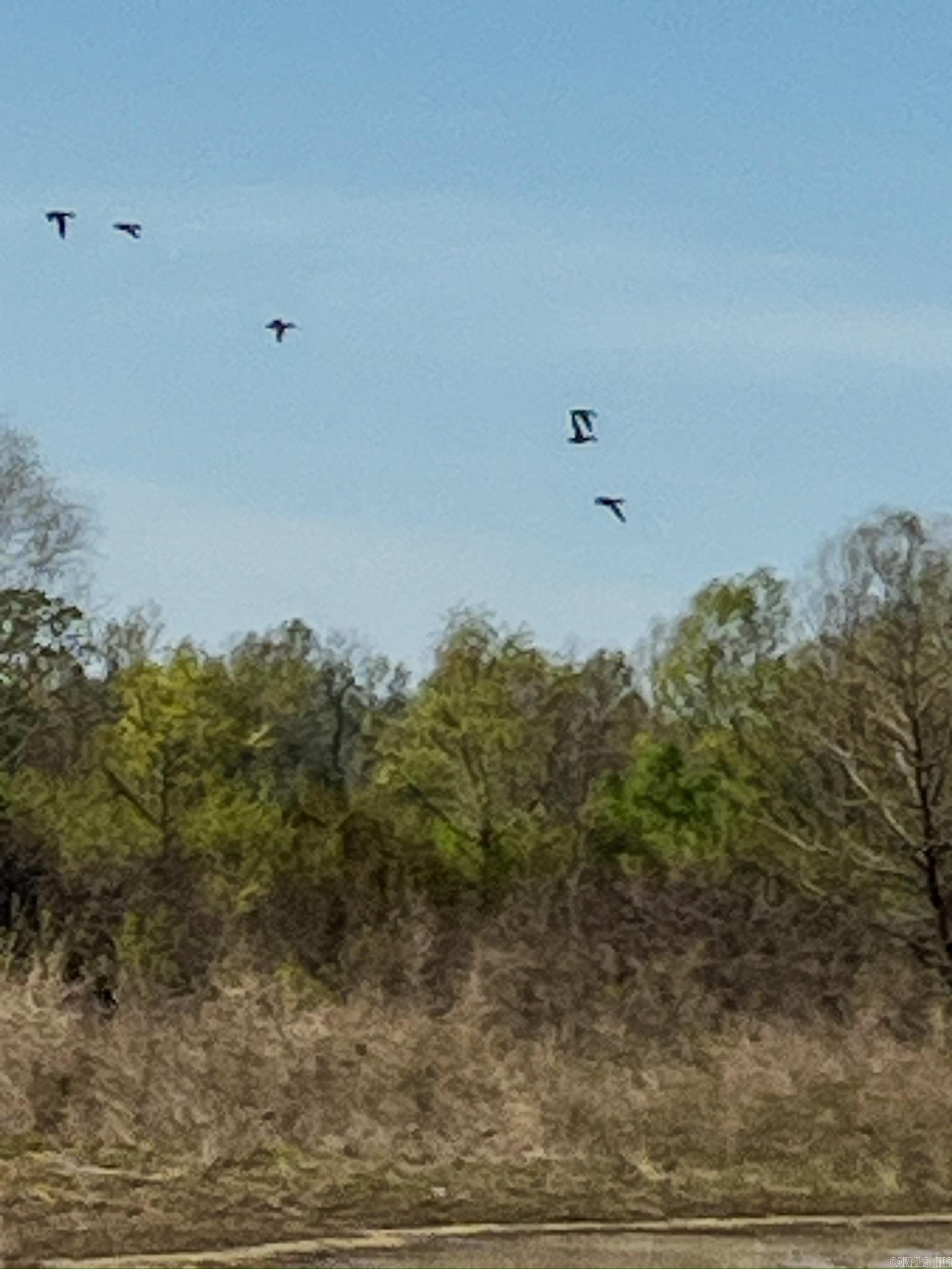 1962 Acres Upper Lockhart  Cord, AR