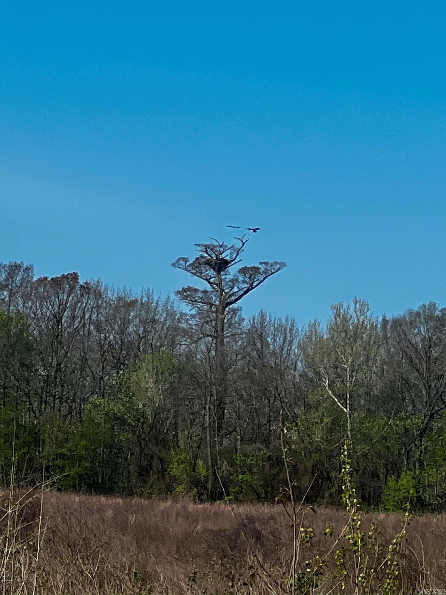 1962 Acres Upper Lockhart  Cord, AR