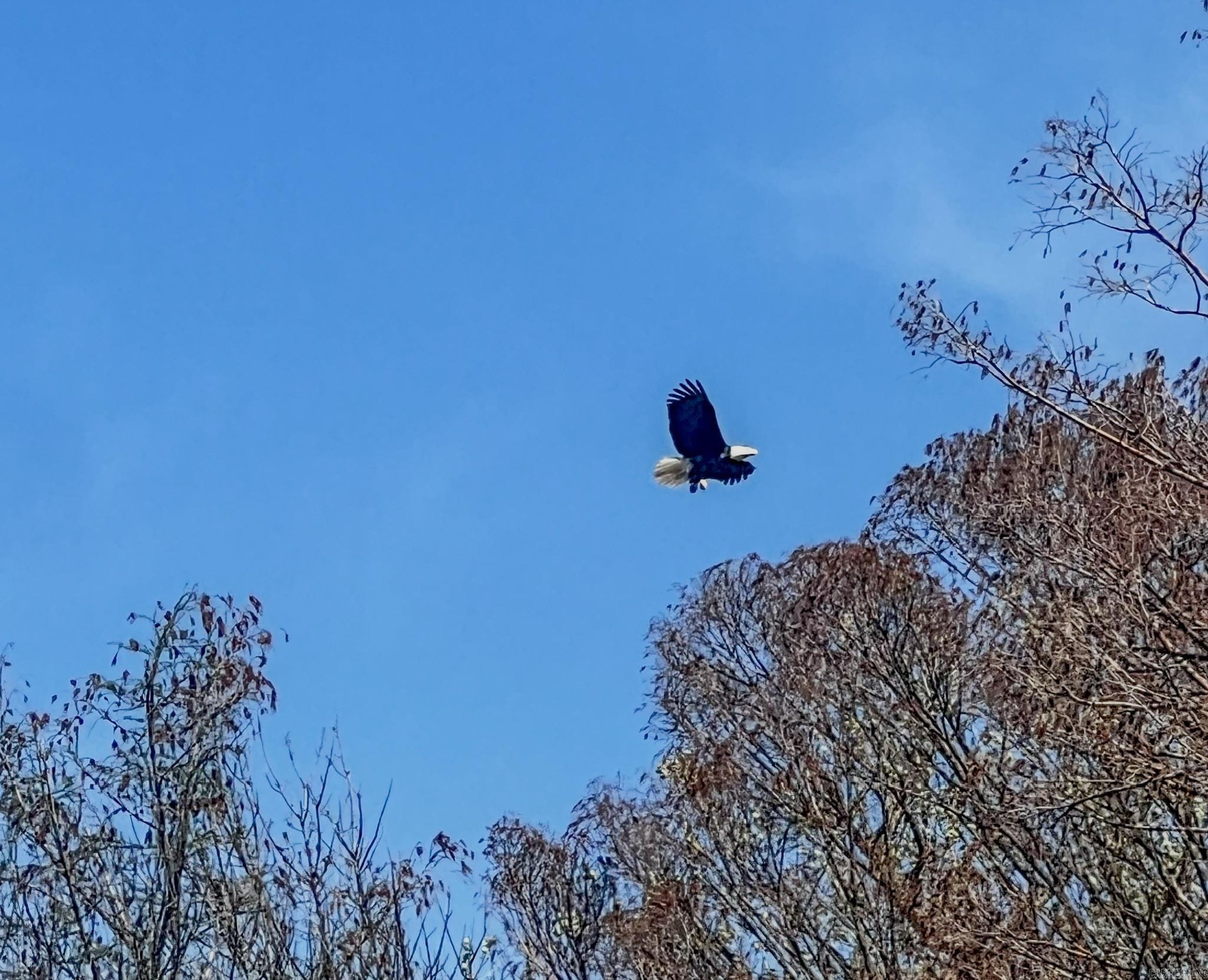 1962 Acres Upper Lockhart  Cord, AR