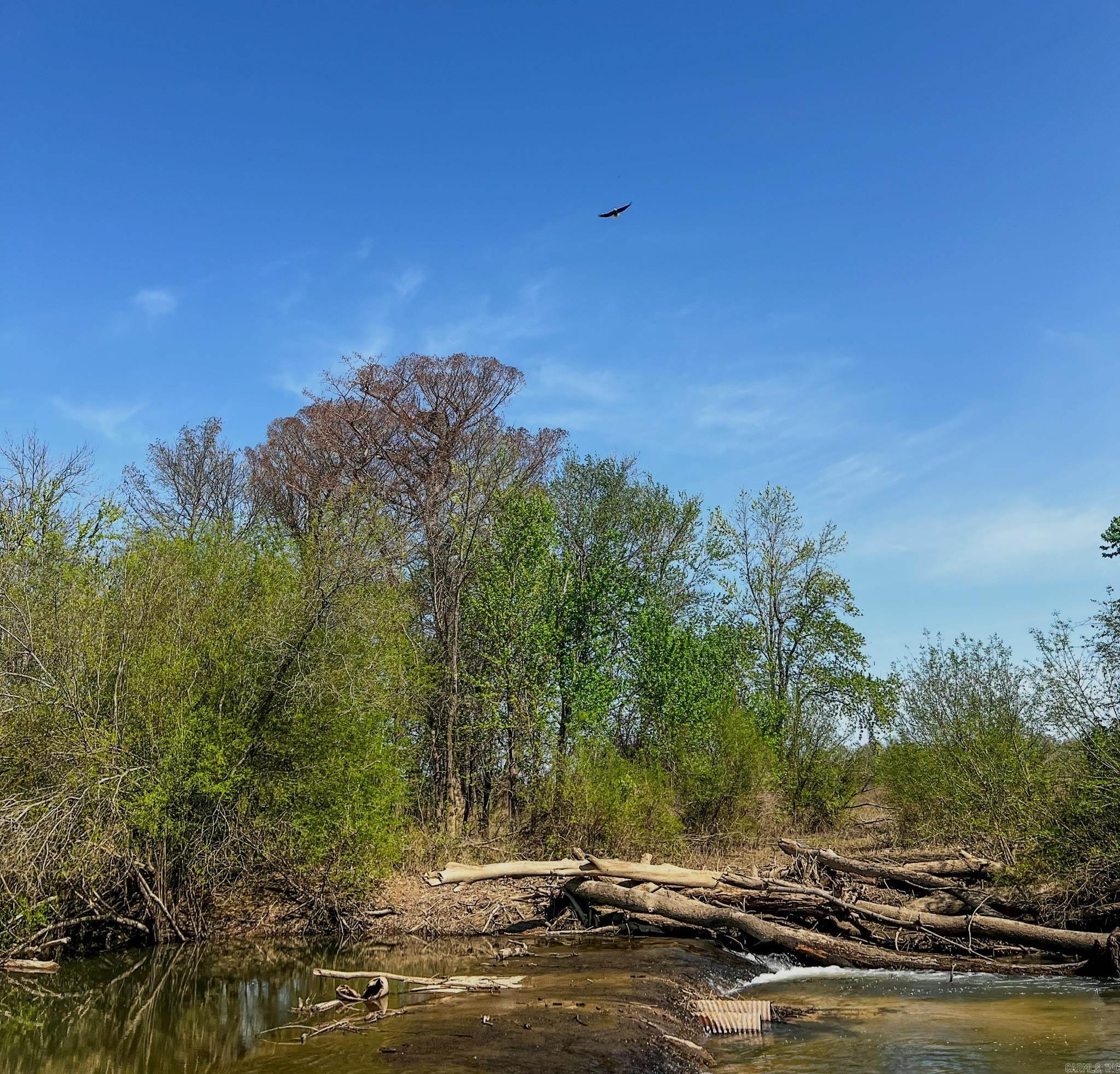 1962 Acres Upper Lockhart  Cord, AR