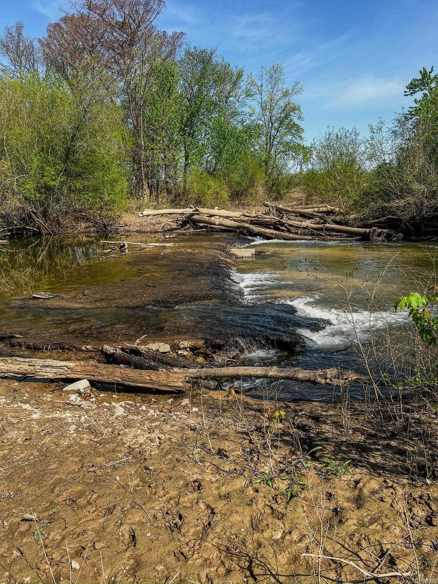 1962 Acres Upper Lockhart  Cord, AR