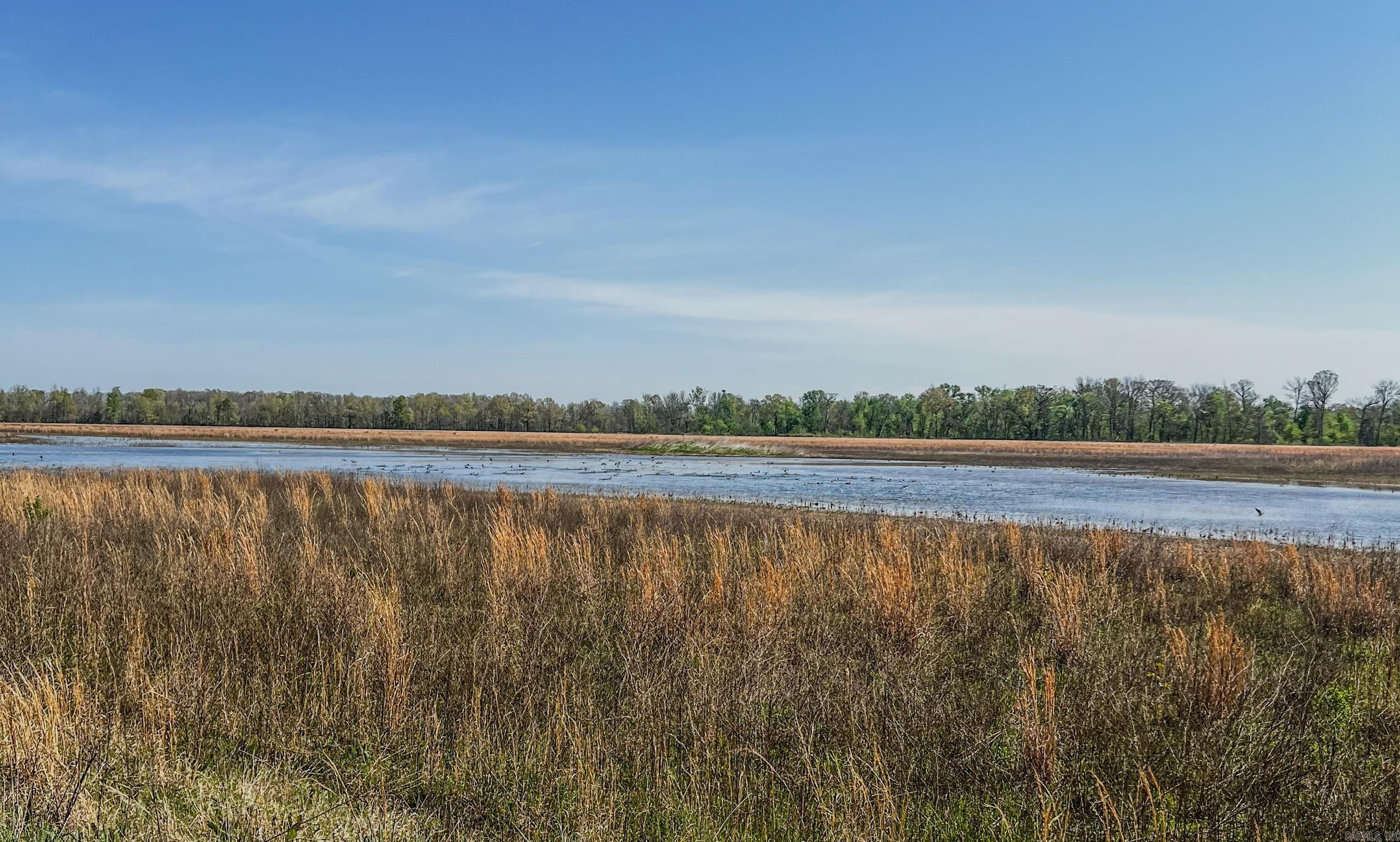 1962 Acres Upper Lockhart  Cord, AR