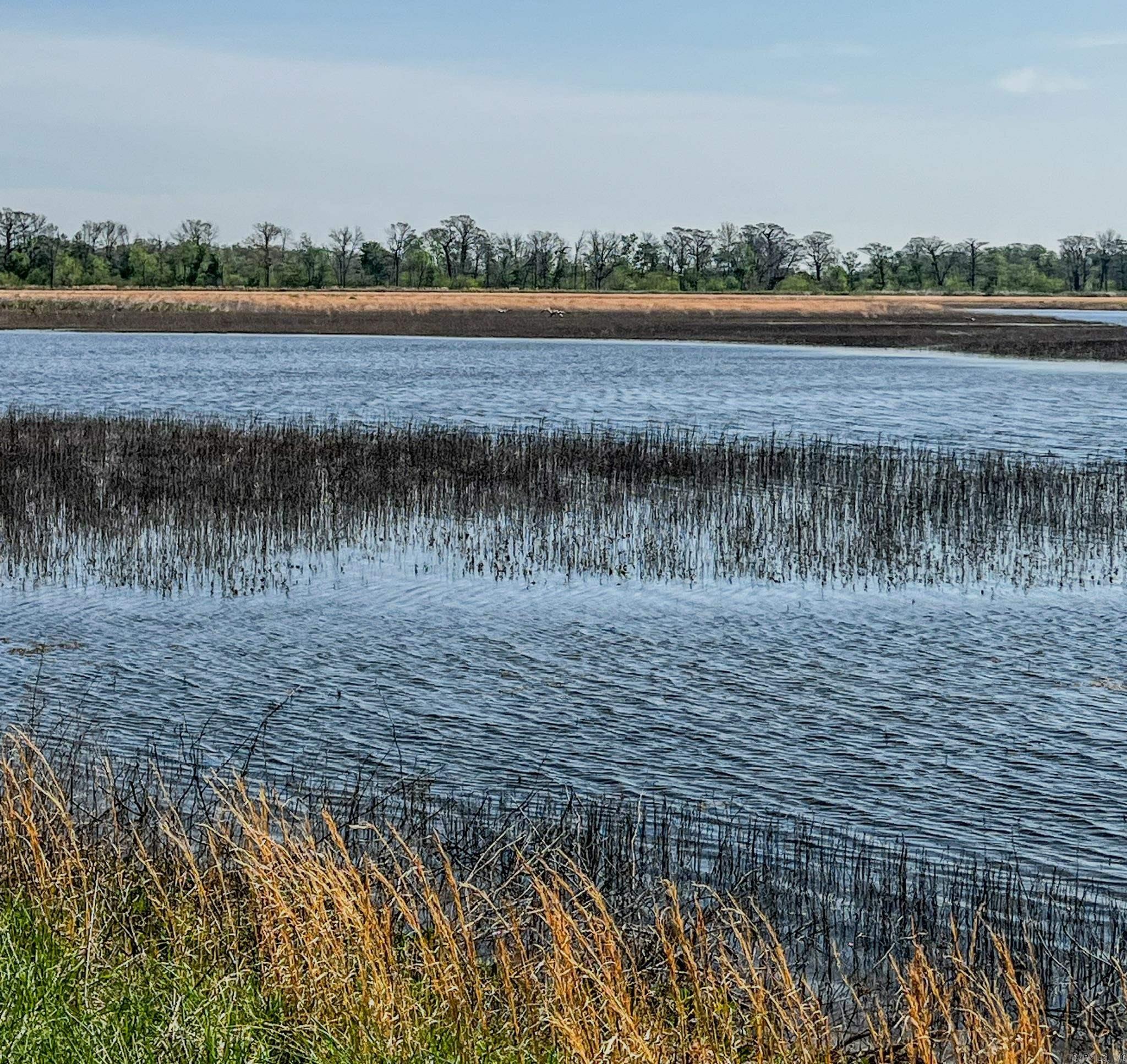 1962 Acres Upper Lockhart  Cord, AR