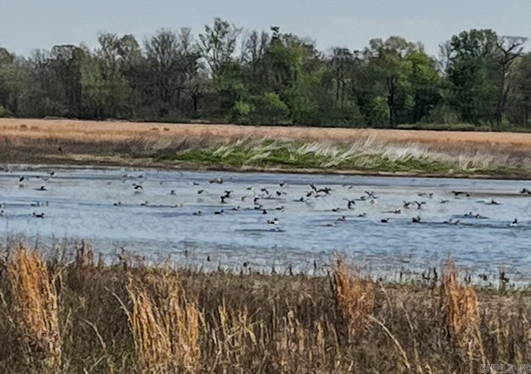 1962 Acres Upper Lockhart  Cord, AR