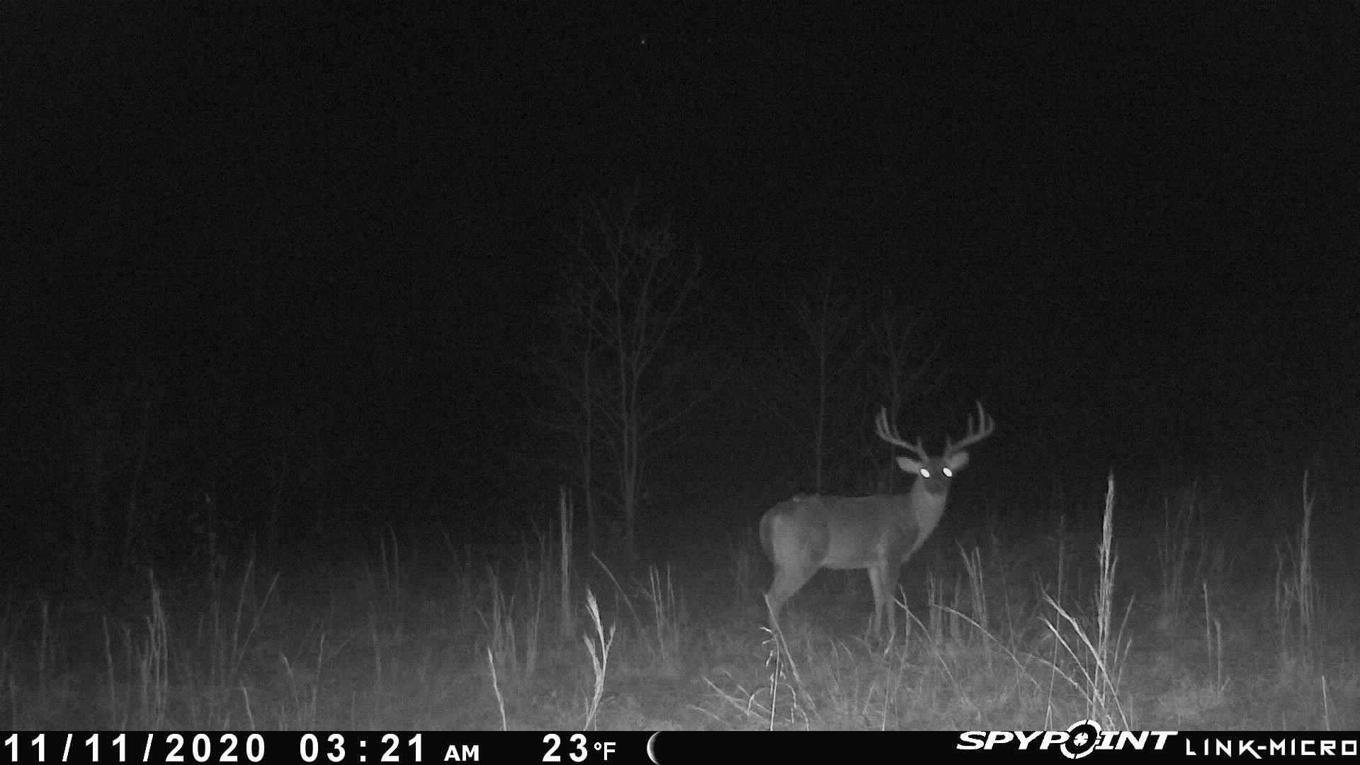  Martin Creek  Williford, AR