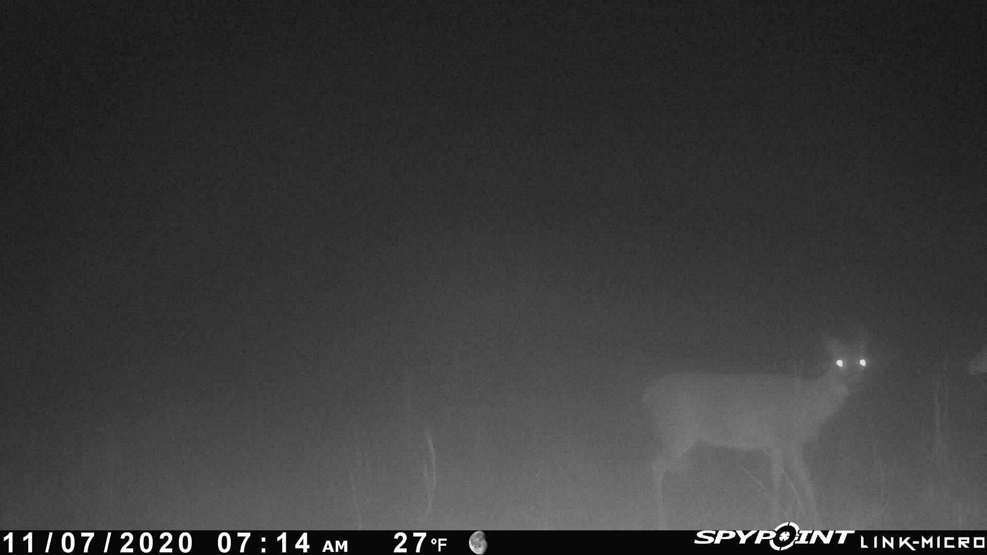  Martin Creek  Williford, AR