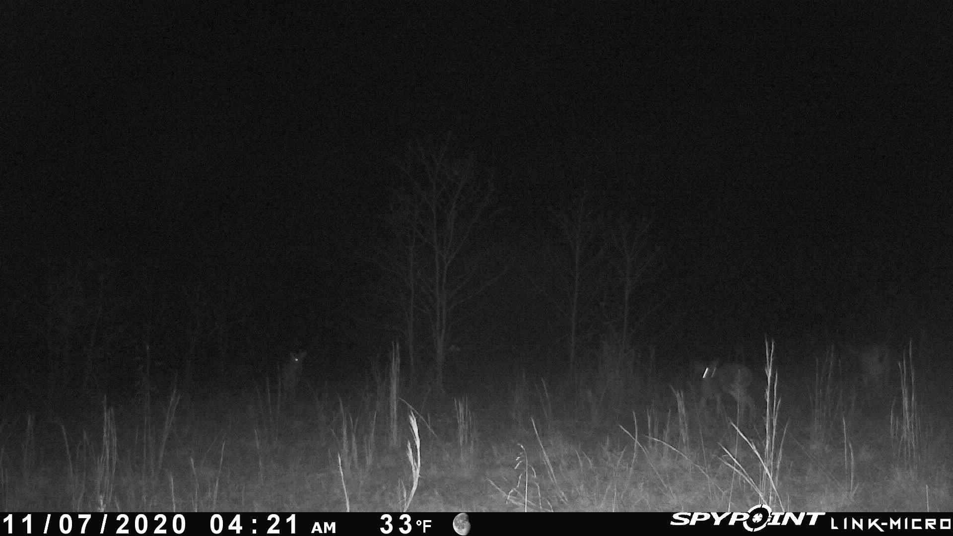  Martin Creek  Williford, AR