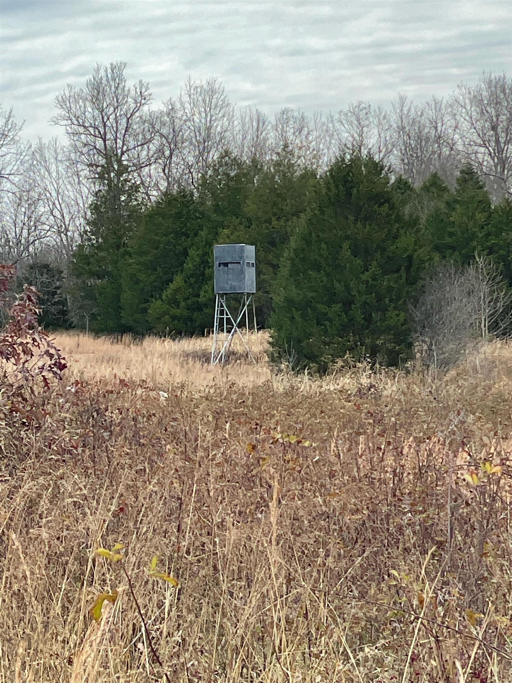  Martin Creek  Williford, AR