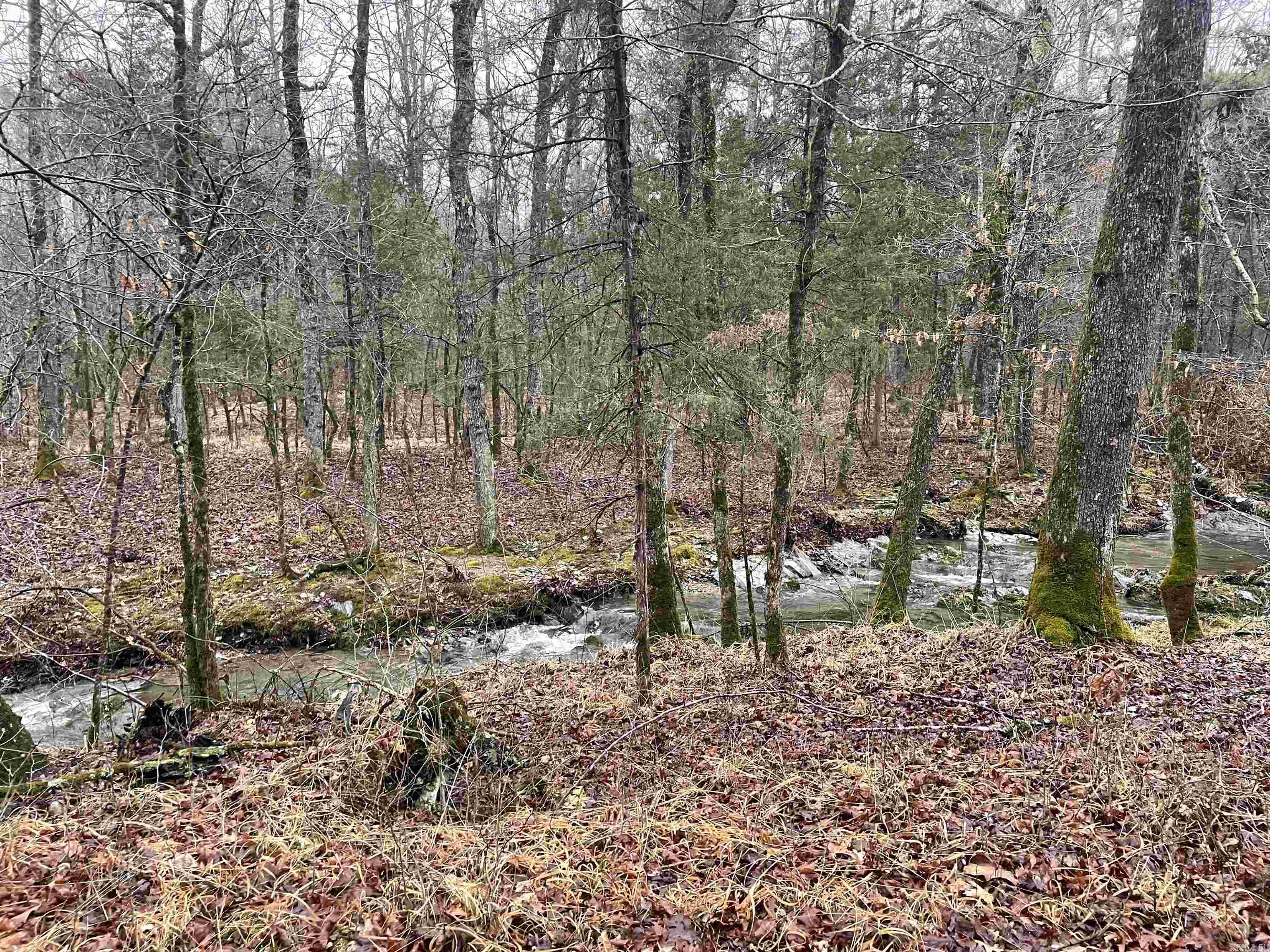 137 Bucksnort Lane  Mena, AR