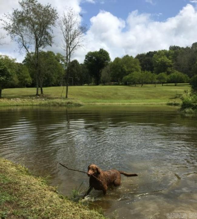 137 Bucksnort Lane  Mena, AR