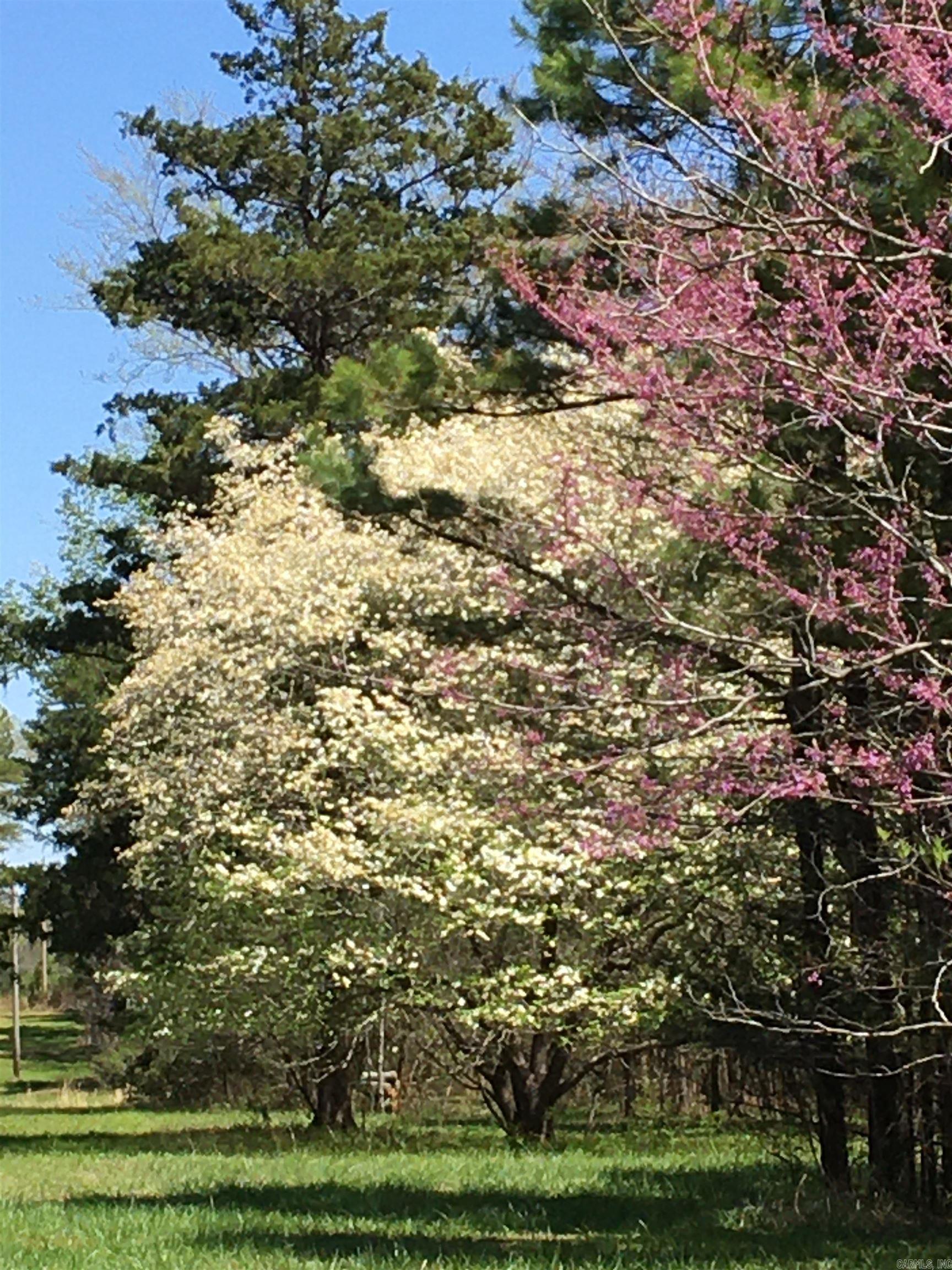 137 Bucksnort Lane  Mena, AR