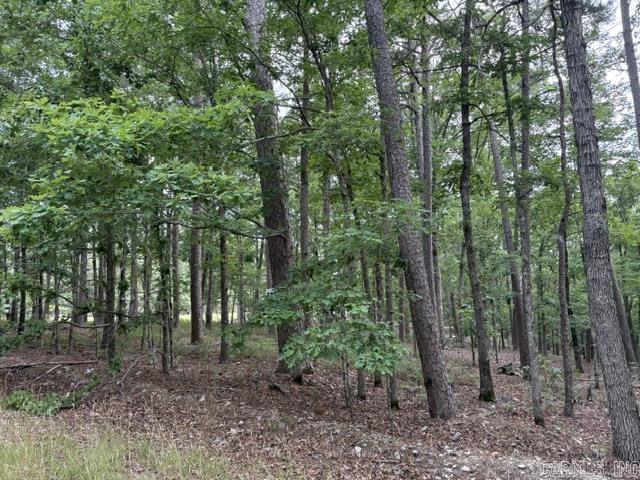 14 Soltar  Hot Springs Village, AR