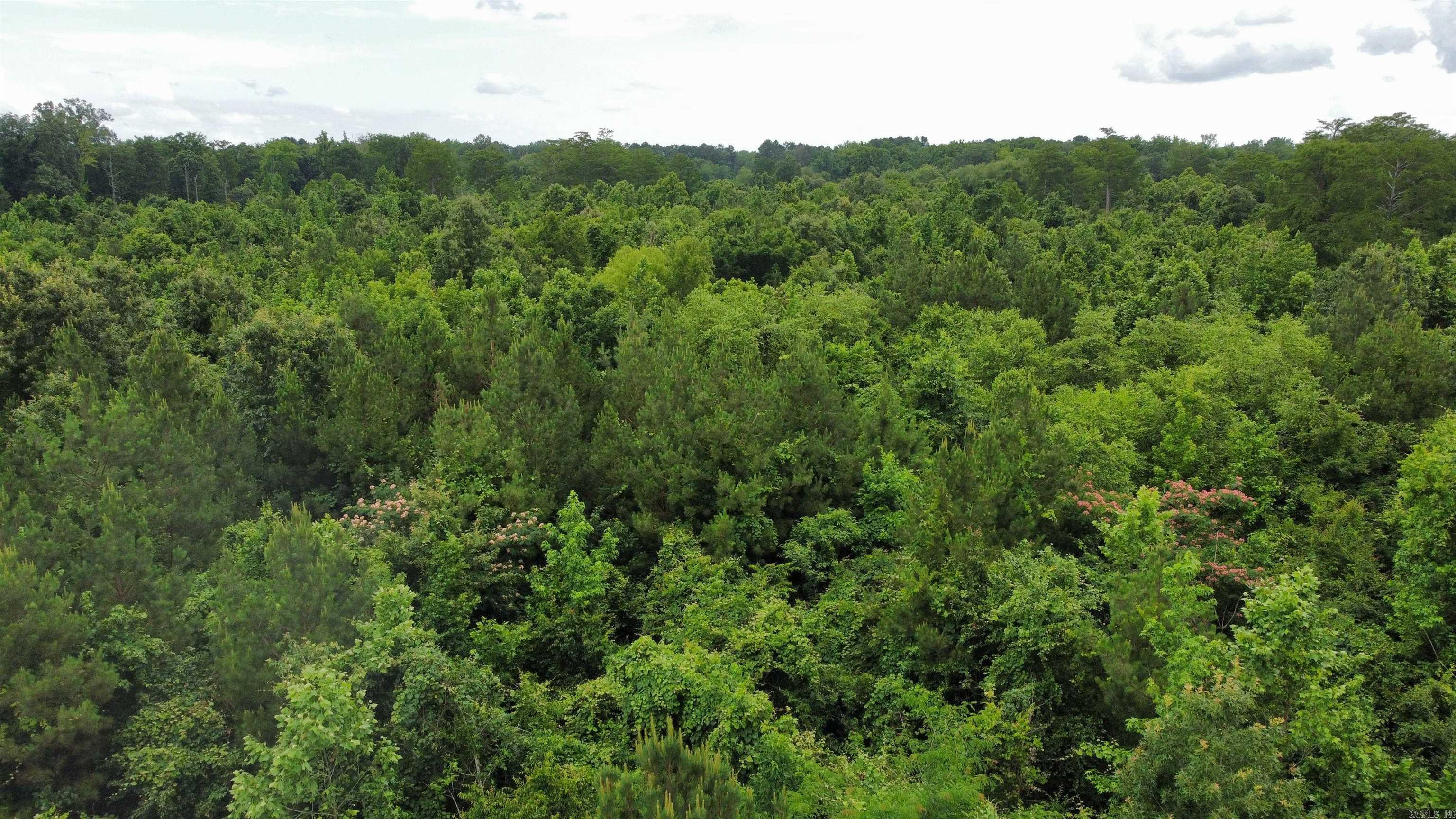 850 Vince Bluff  New Edinburg, AR