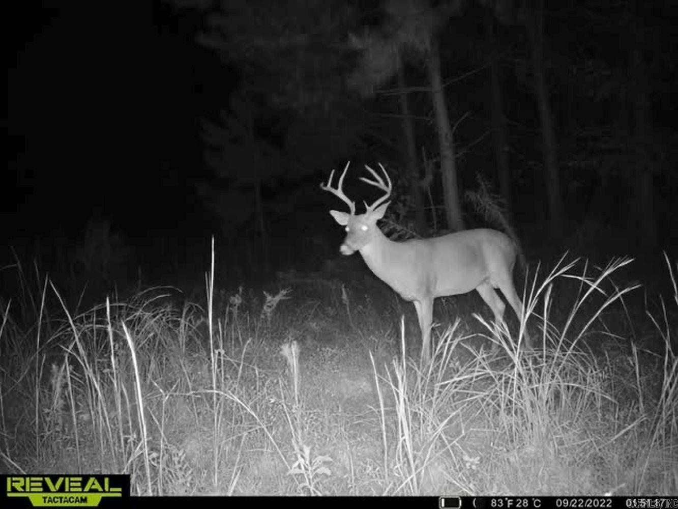 3400 US-278  Wilmar, AR