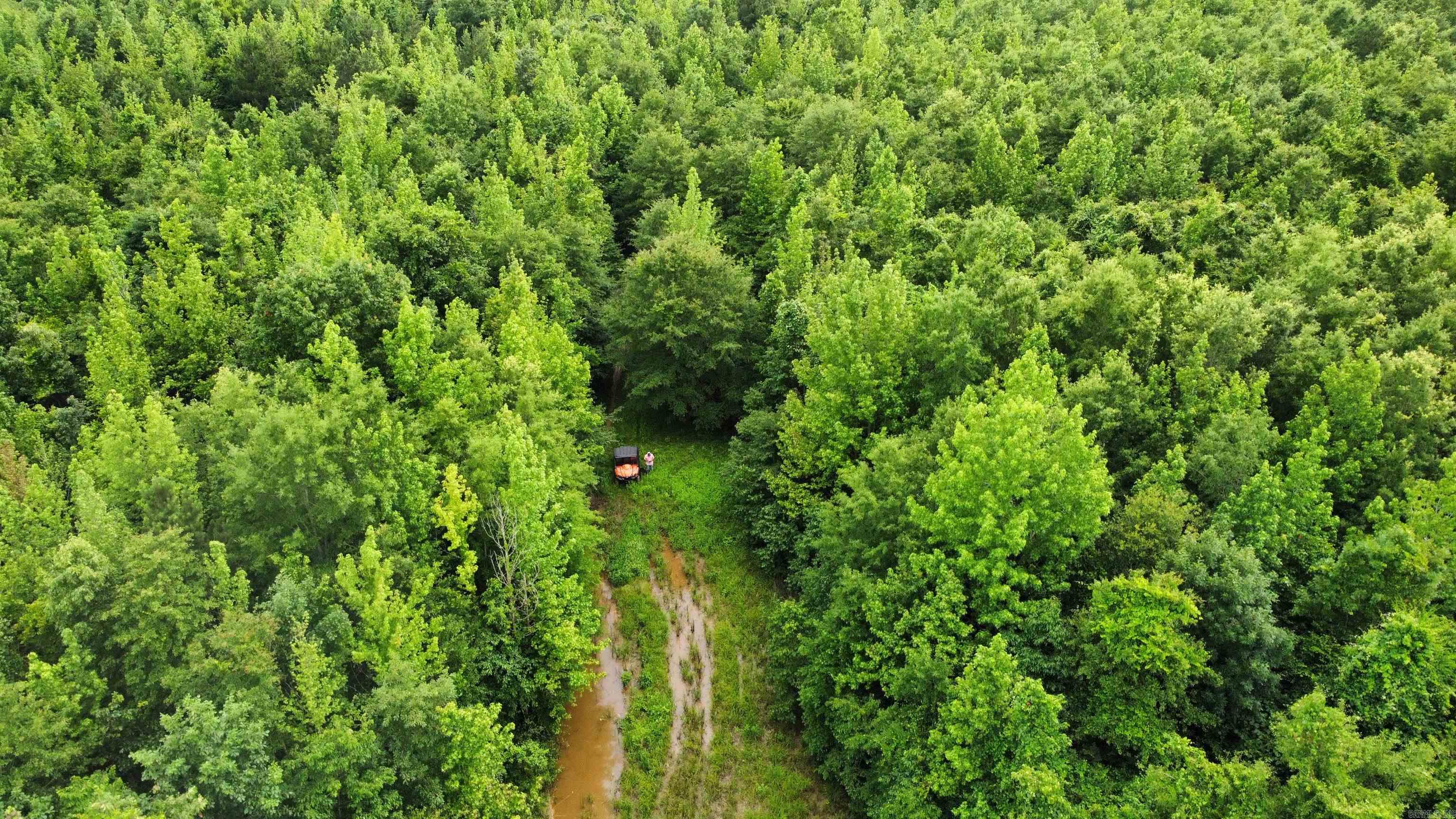 3400 US-278  Wilmar, AR