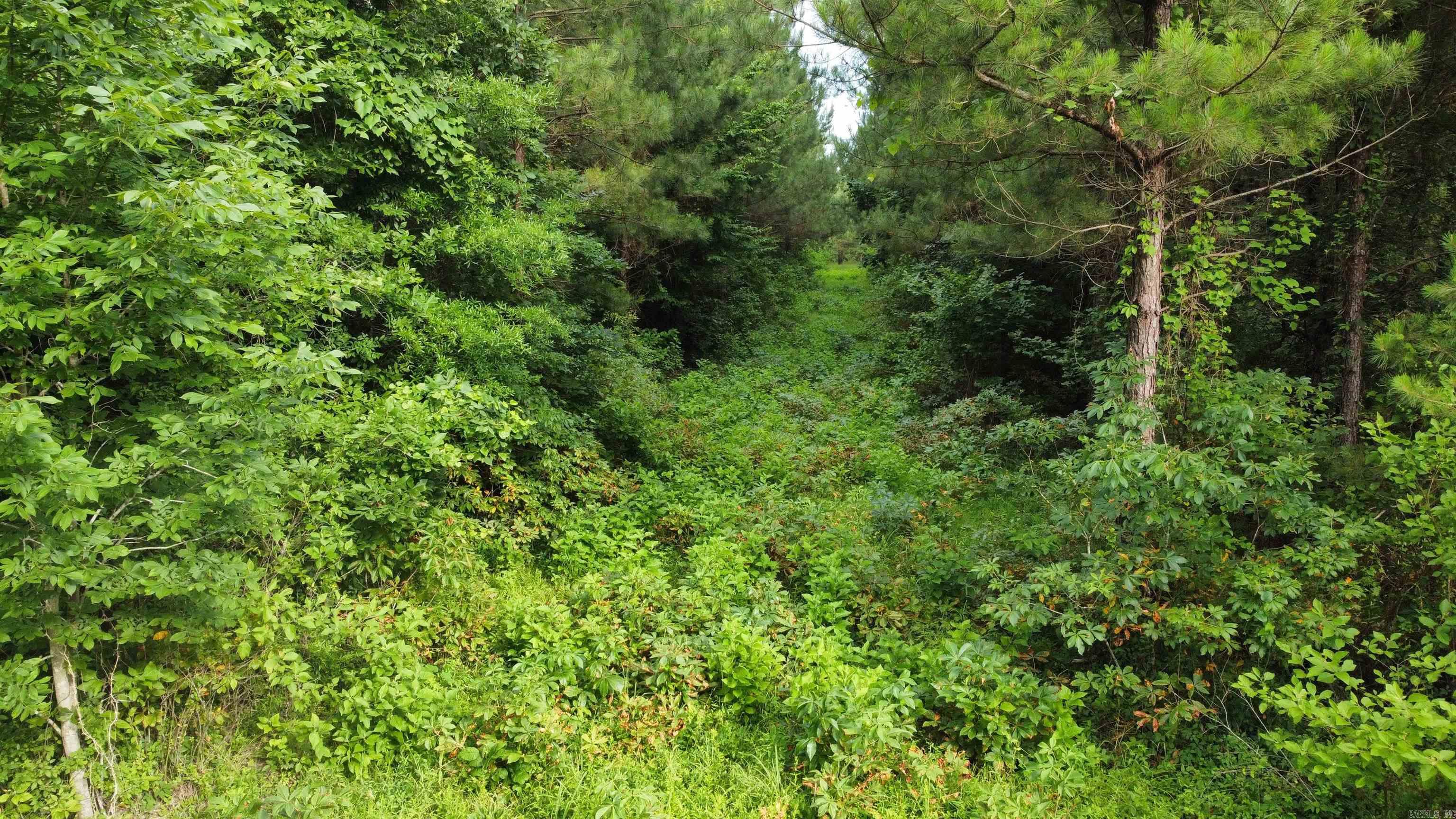 3400 US-278  Wilmar, AR