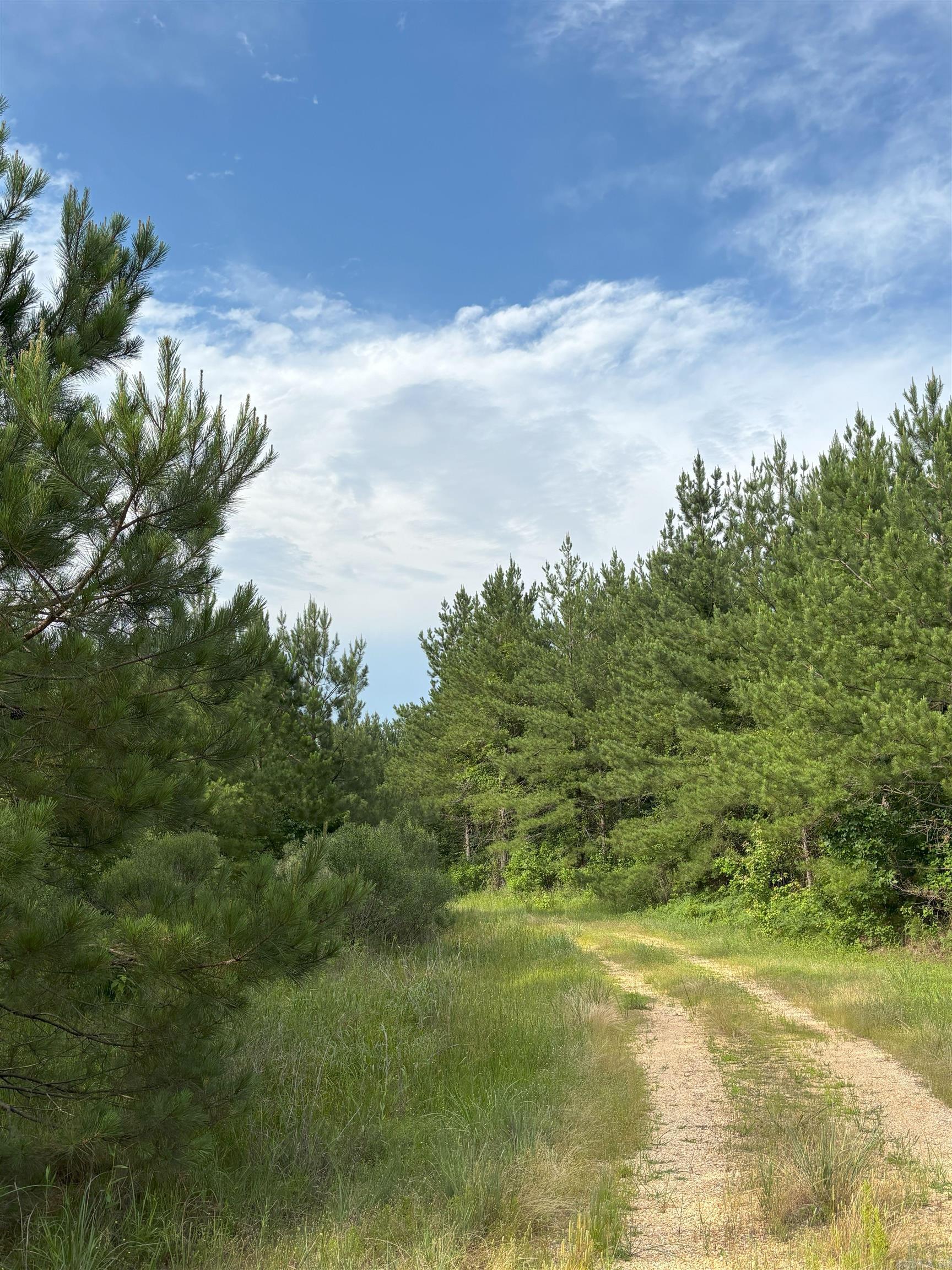 3400 US-278  Wilmar, AR