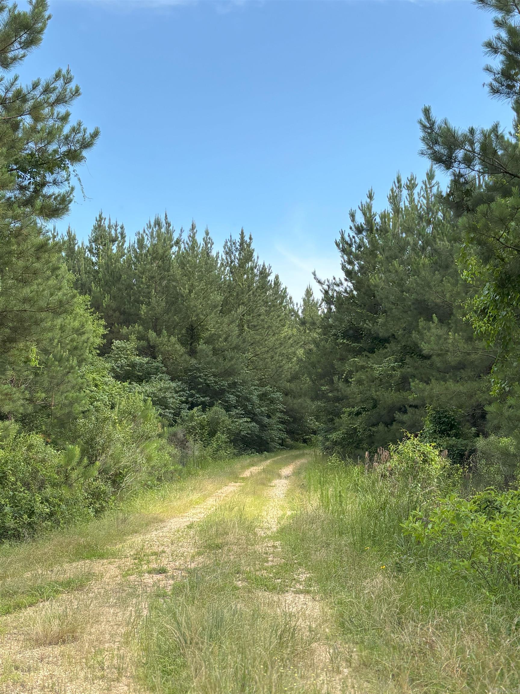 3400 US-278  Wilmar, AR