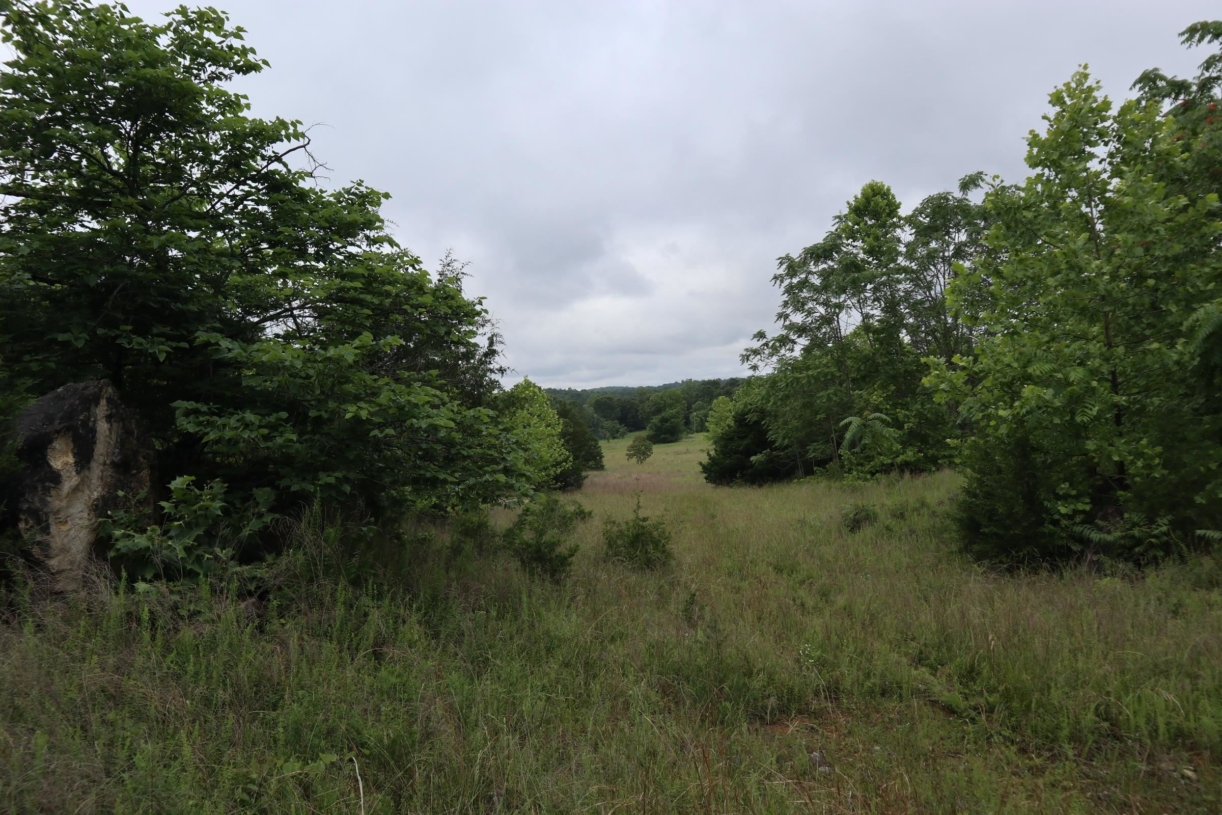 TBD Hwy 9 S  Salem, AR