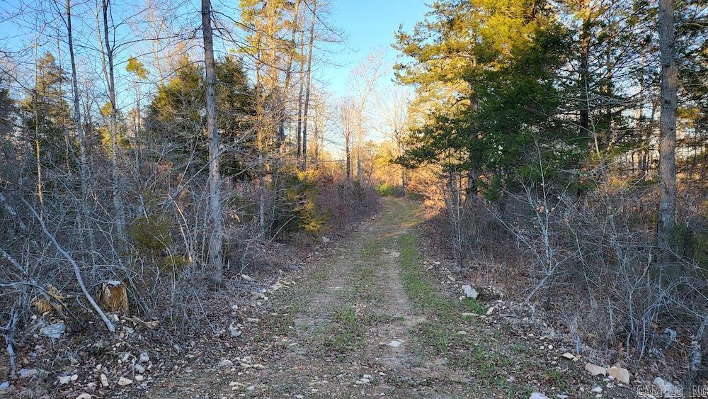  Punkin Flat Road  Marshall, AR