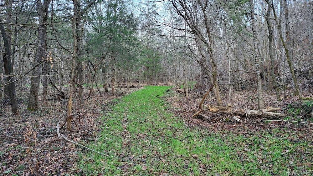  Punkin Flat Road  Marshall, AR