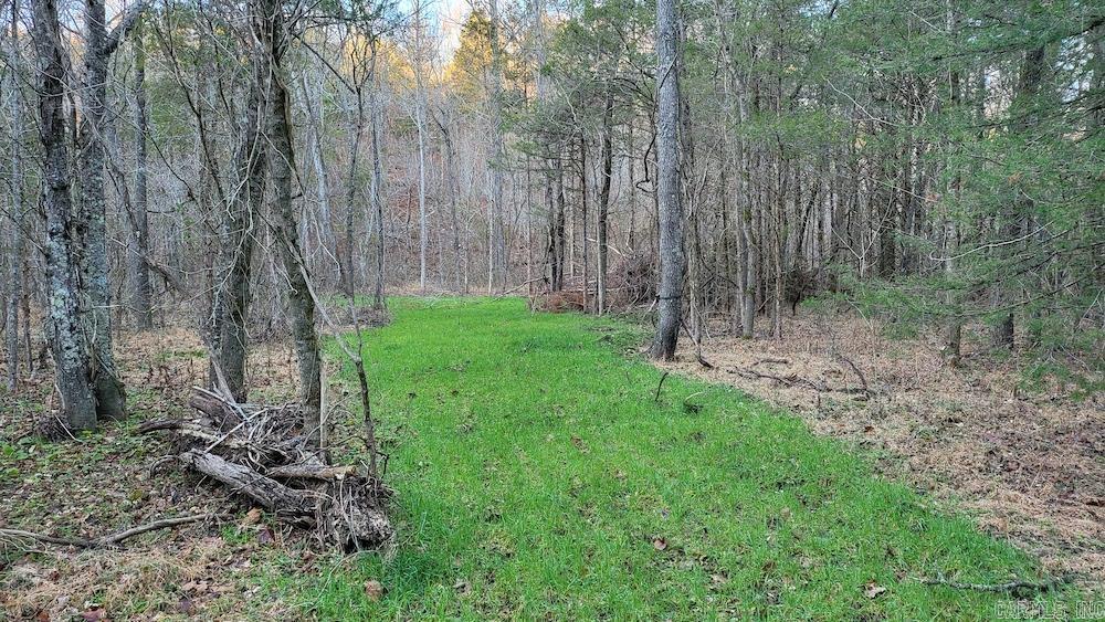  Punkin Flat Road  Marshall, AR