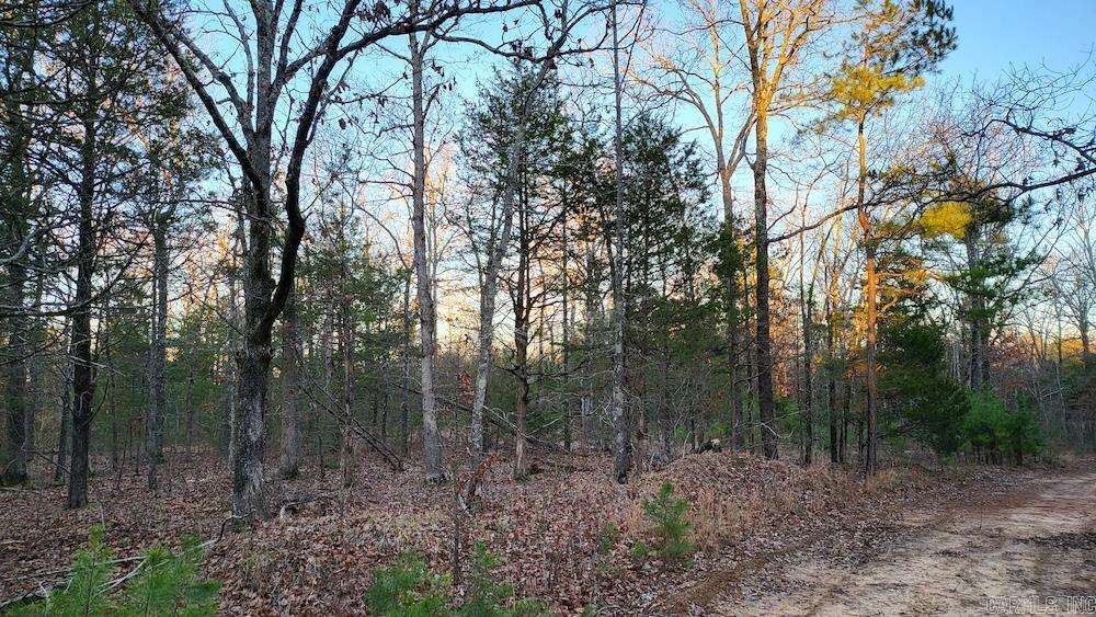  Punkin Flat Road  Marshall, AR