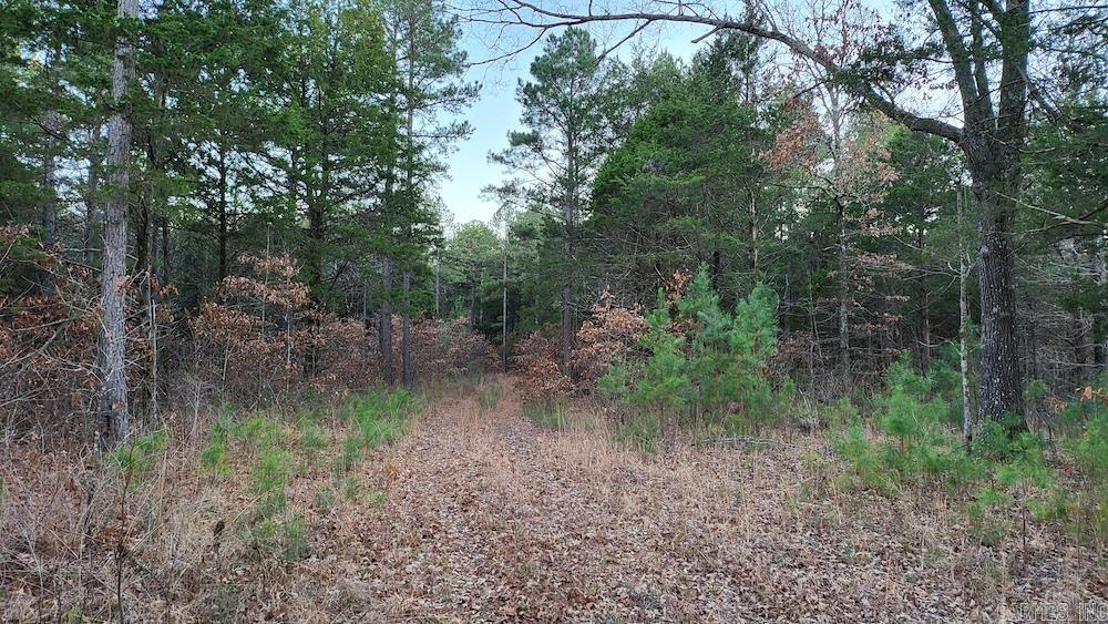  Punkin Flat Road  Marshall, AR