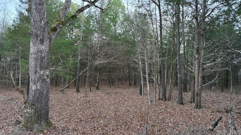  Punkin Flat Road  Marshall, AR