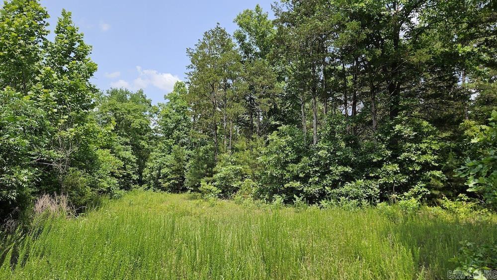  Punkin Flat Road  Marshall, AR