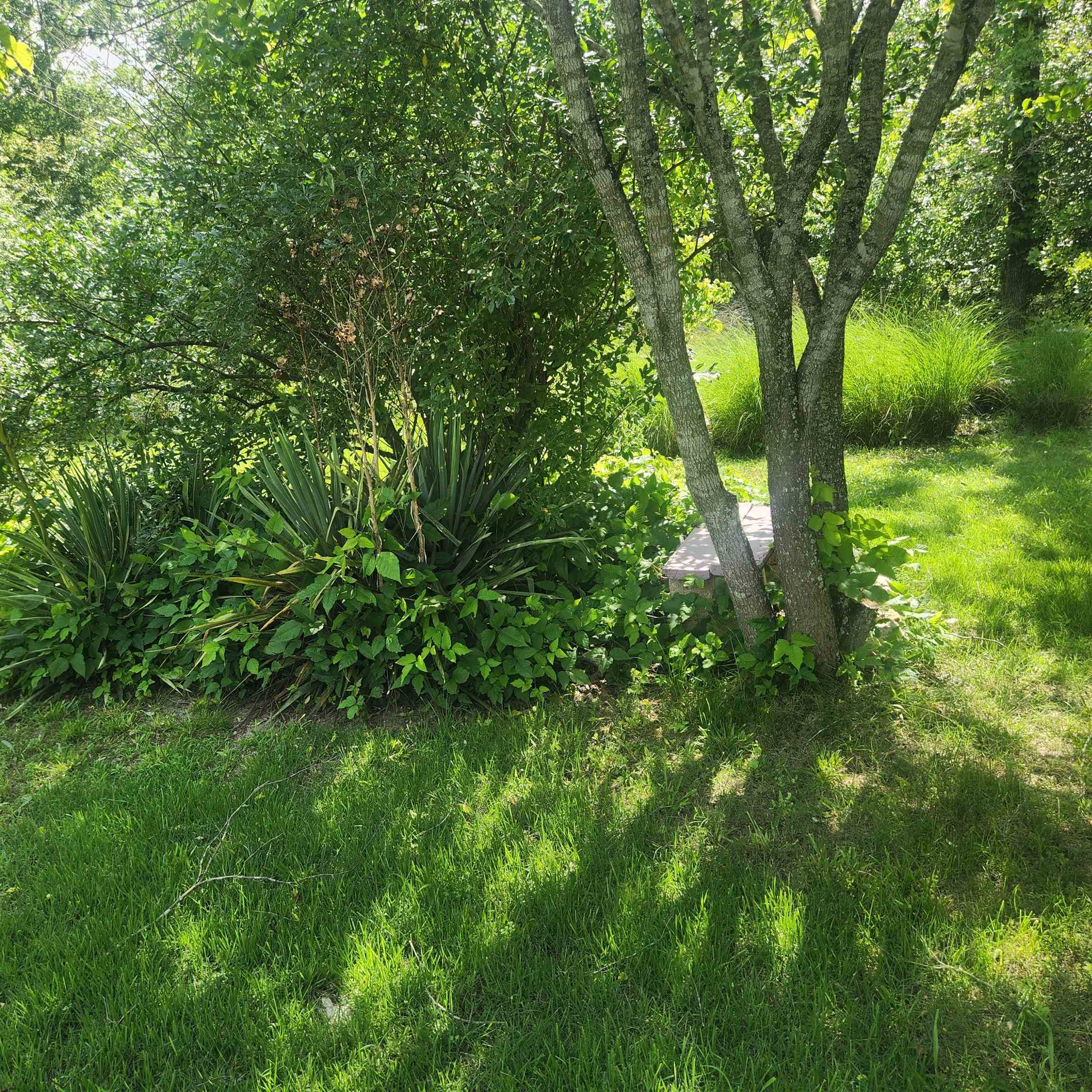 63 Tablerock  Evening Shade, AR