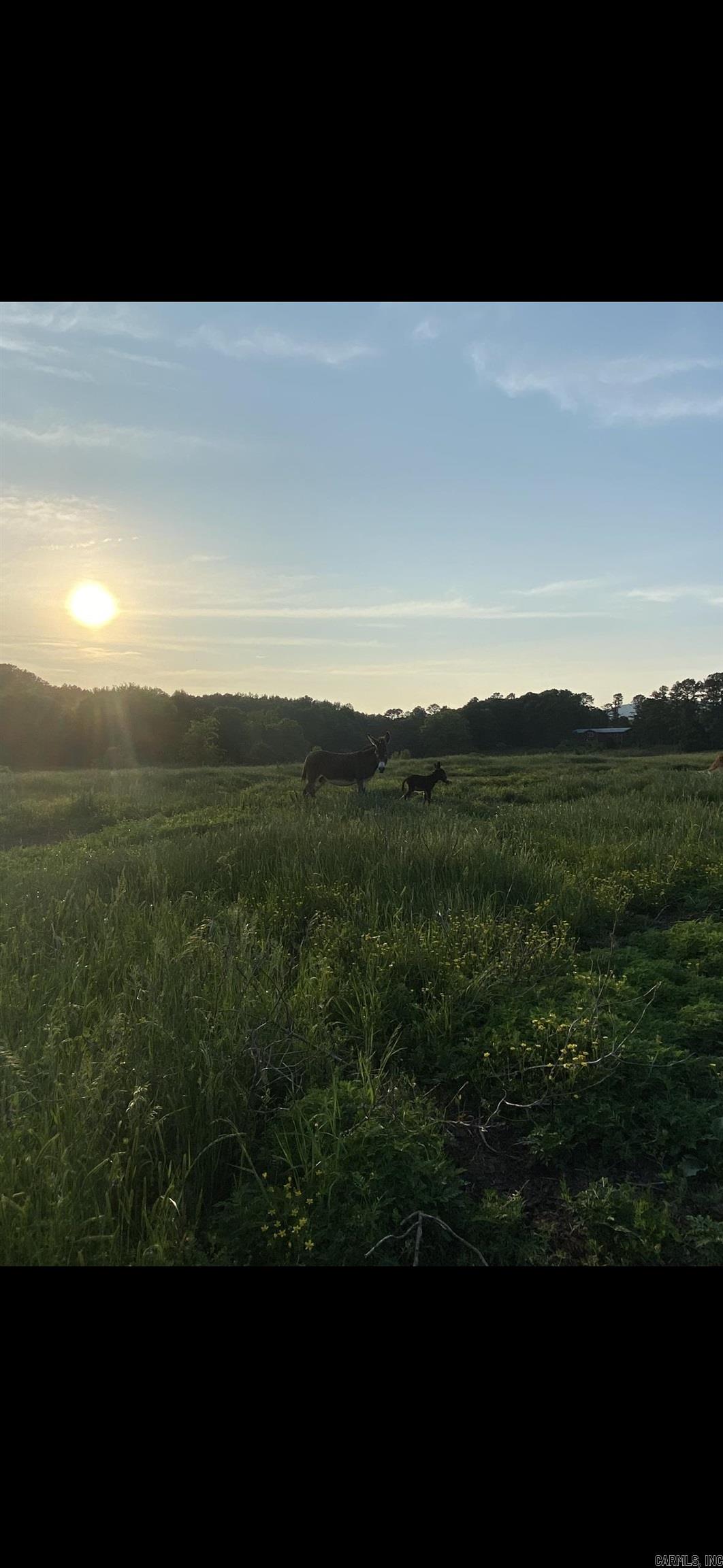 000 County Road 3335  Clarksville, AR