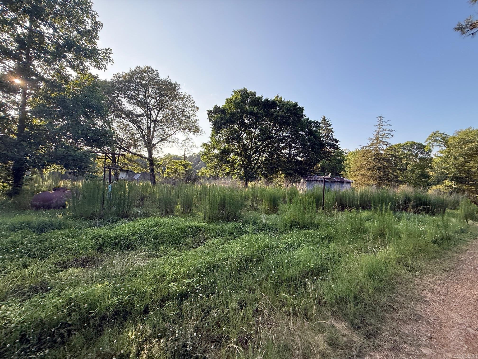 139 W Polk Road 20  Cove, AR